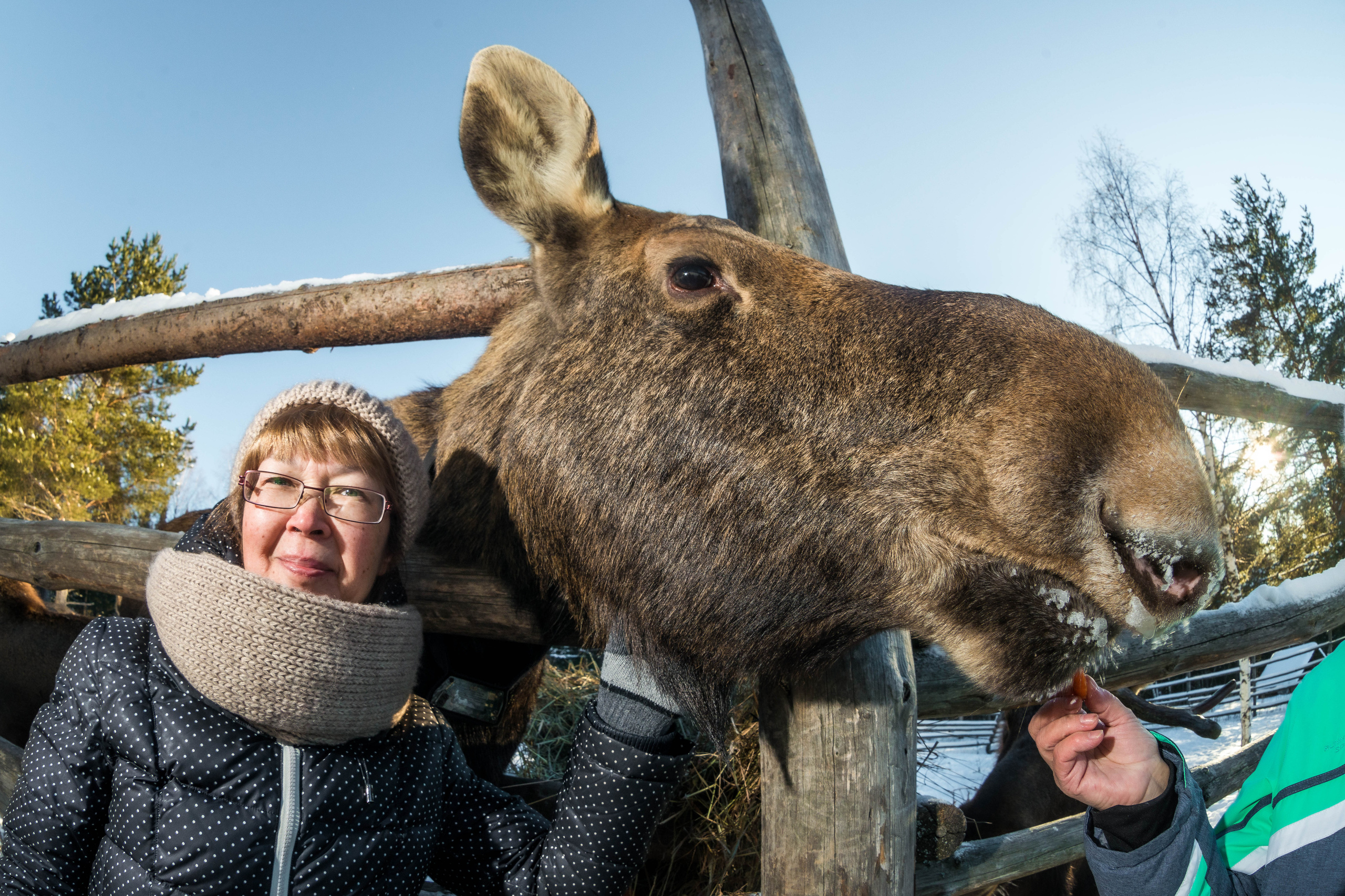 Парк Зюраткуль — Ледяной фонтан, Сохатка и хребет Москаль. Свадебный фотограф на Урале Виктор Соколов