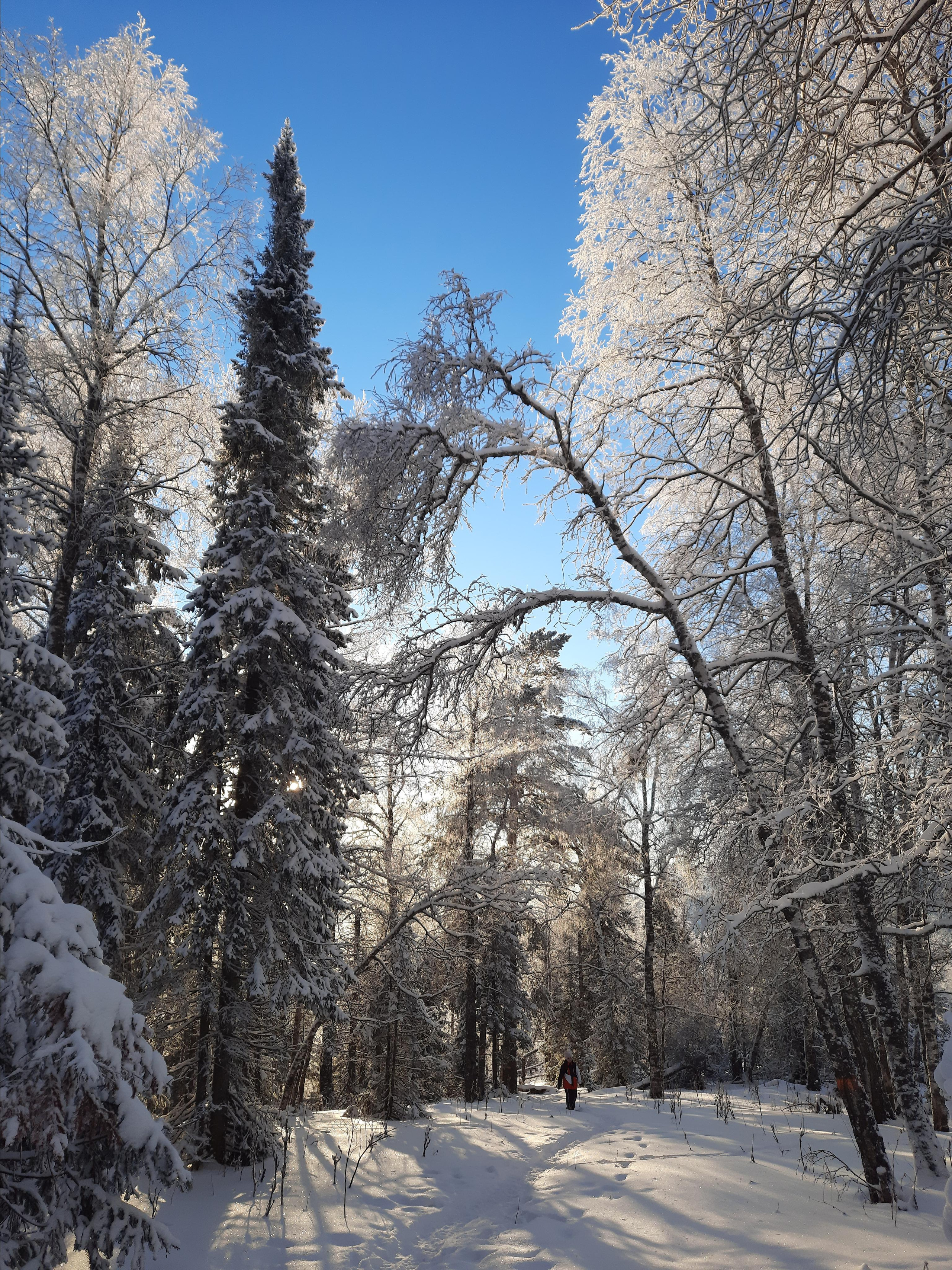Парк Зюраткуль — Ледяной фонтан, Сохатка и хребет Москаль. Свадебный фотограф на Урале Виктор Соколов