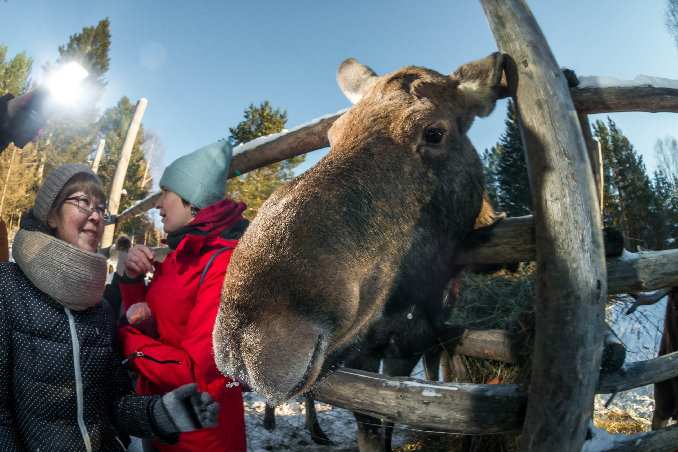 Парк Зюраткуль — Ледяной фонтан, Сохатка и хребет Москаль. Свадебный фотограф на Урале Виктор Соколов