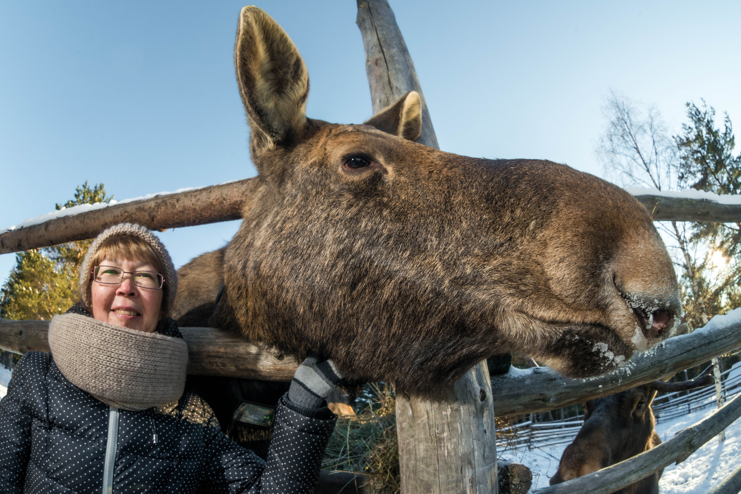 Парк Зюраткуль — Ледяной фонтан, Сохатка и хребет Москаль. Свадебный фотограф на Урале Виктор Соколов