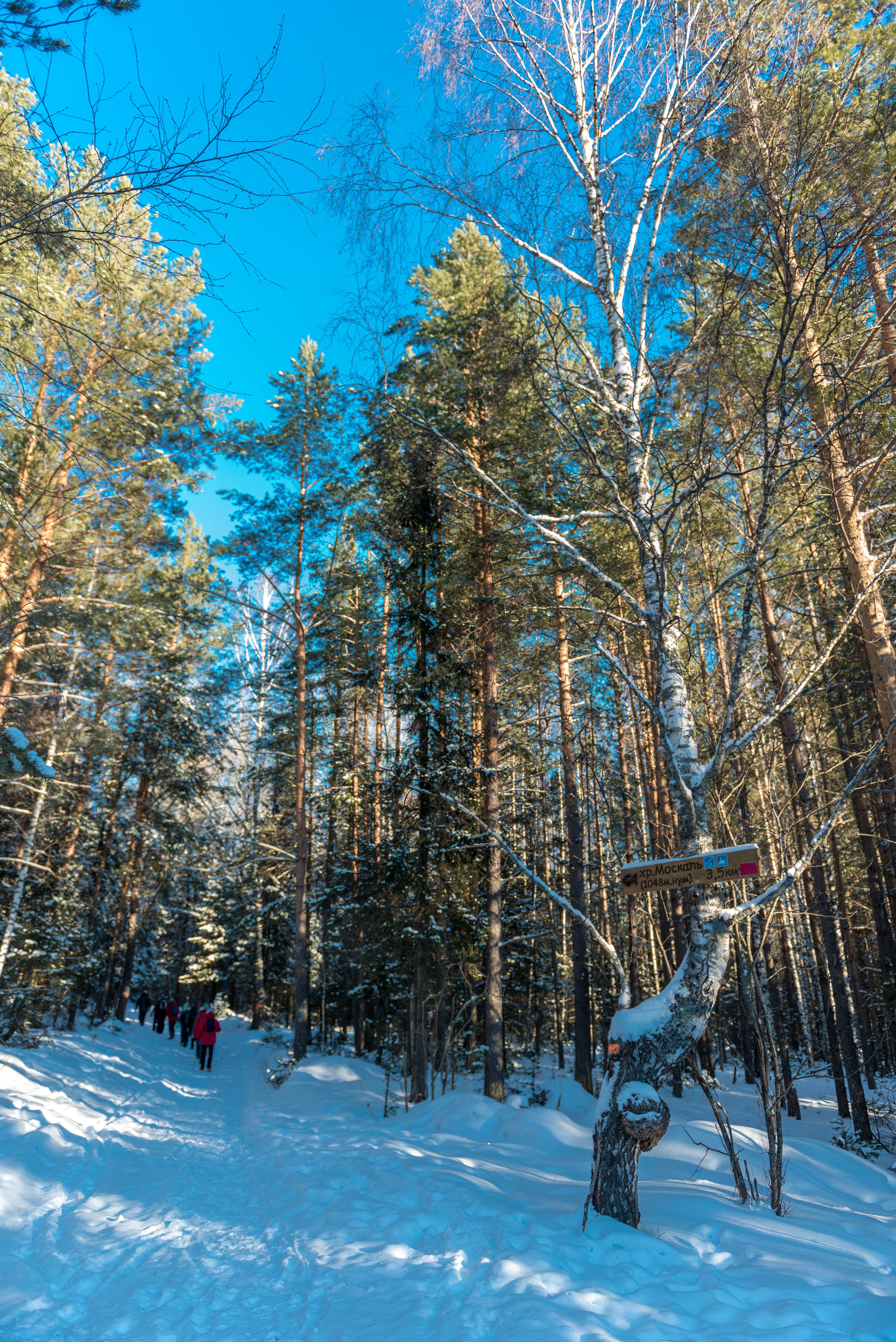 Парк Зюраткуль — Ледяной фонтан, Сохатка и хребет Москаль. Свадебный фотограф на Урале Виктор Соколов