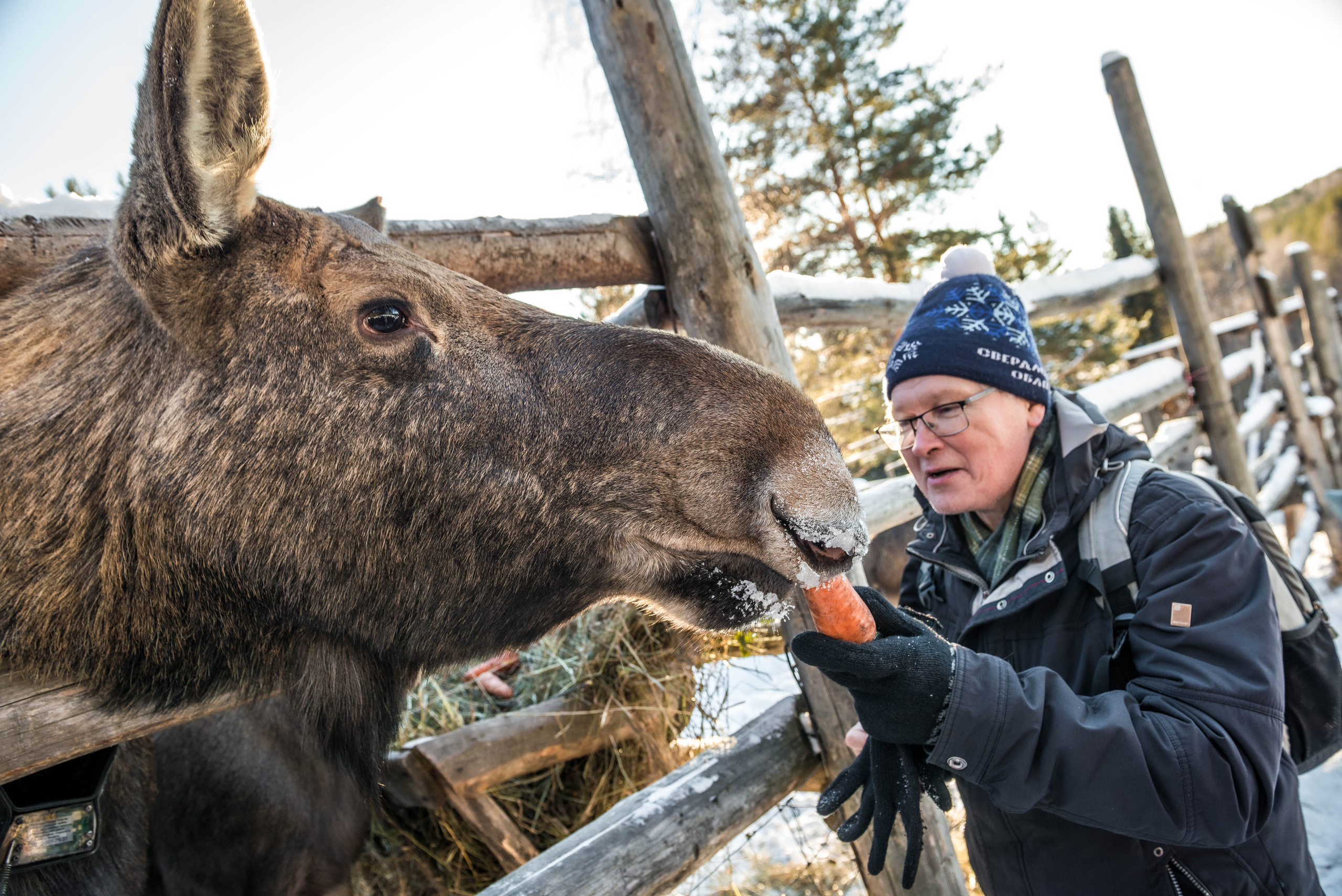 Парк Зюраткуль — Ледяной фонтан, Сохатка и хребет Москаль. Свадебный фотограф на Урале Виктор Соколов