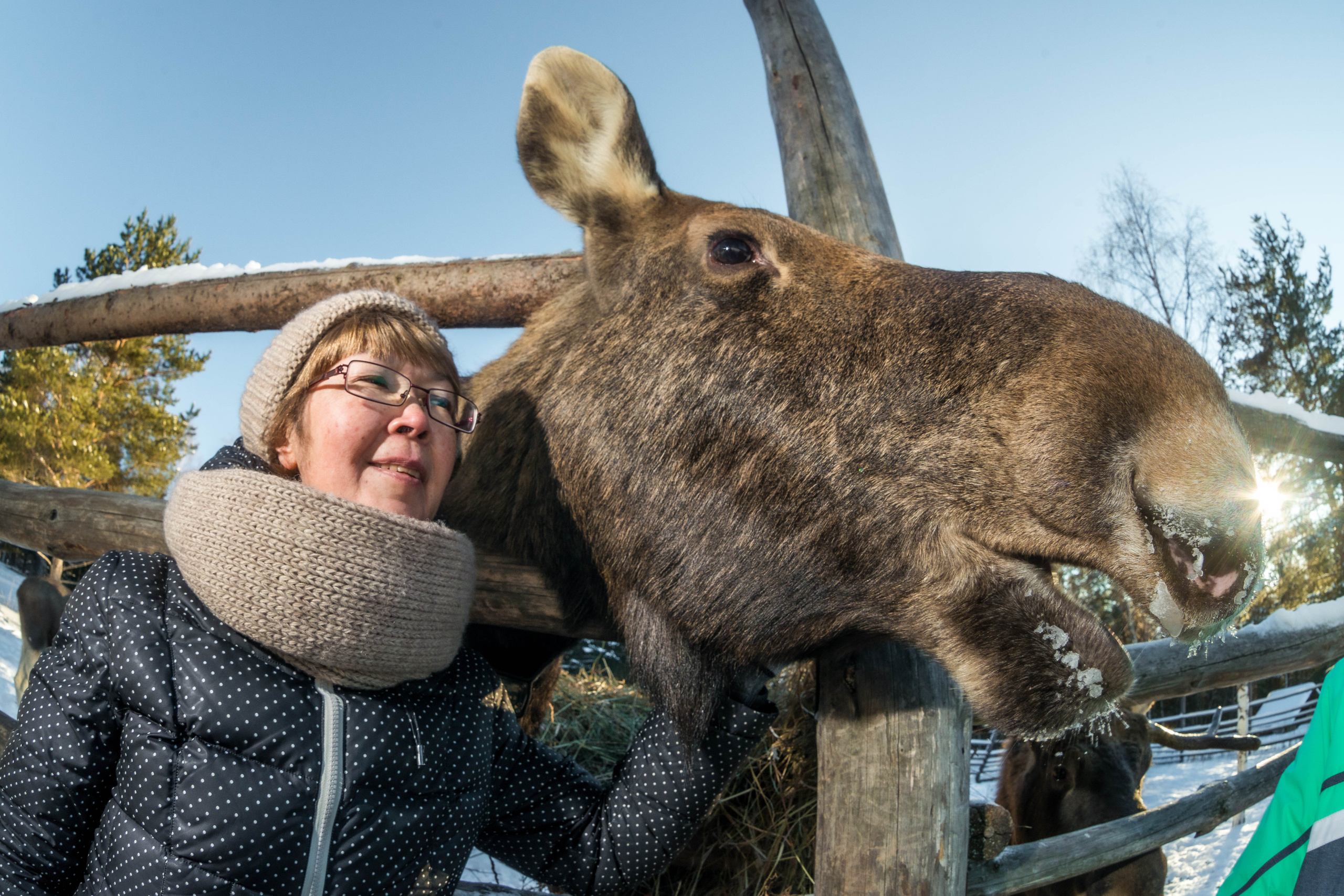 Парк Зюраткуль — Ледяной фонтан, Сохатка и хребет Москаль. Свадебный фотограф на Урале Виктор Соколов