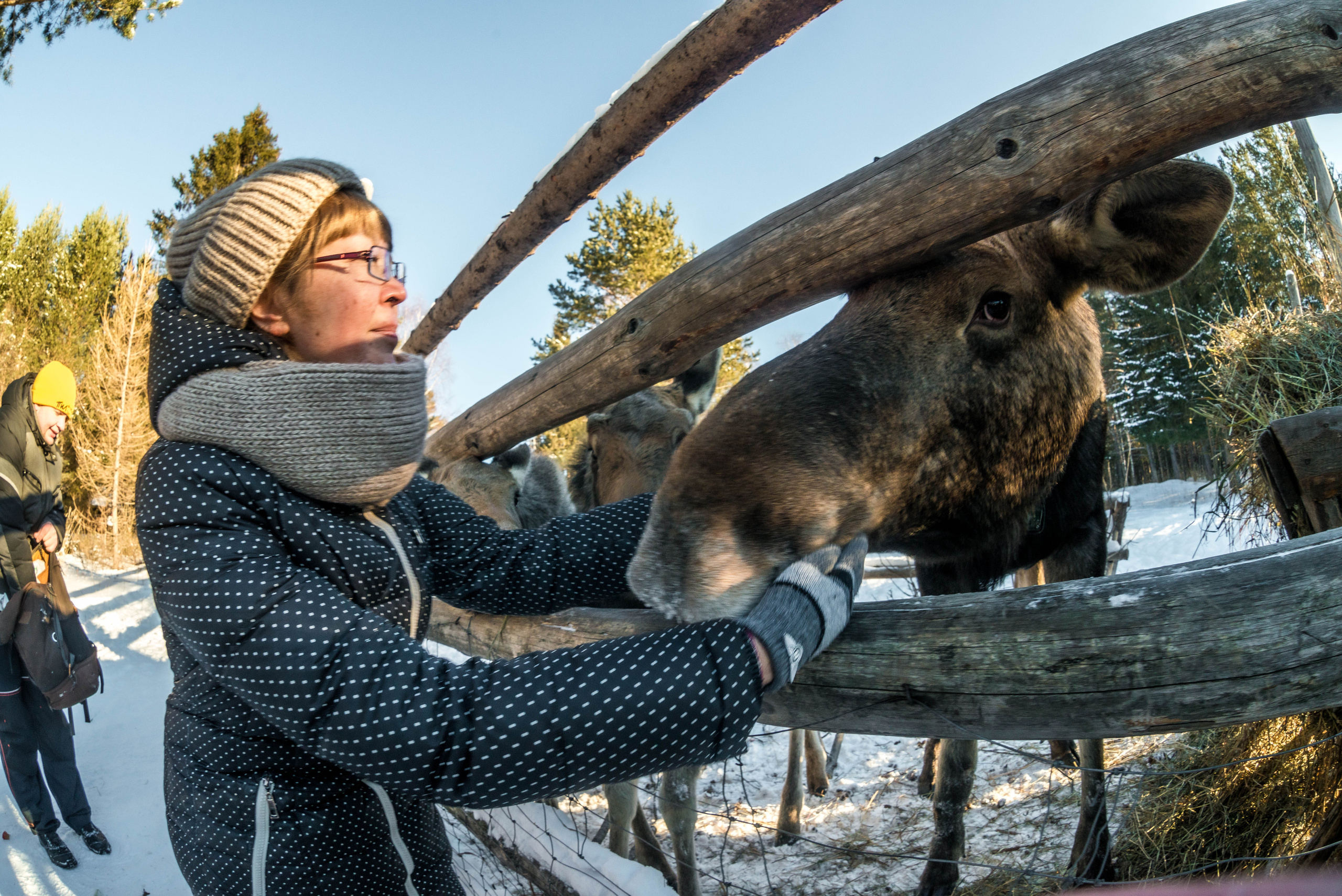 Парк Зюраткуль — Ледяной фонтан, Сохатка и хребет Москаль. Свадебный фотограф на Урале Виктор Соколов