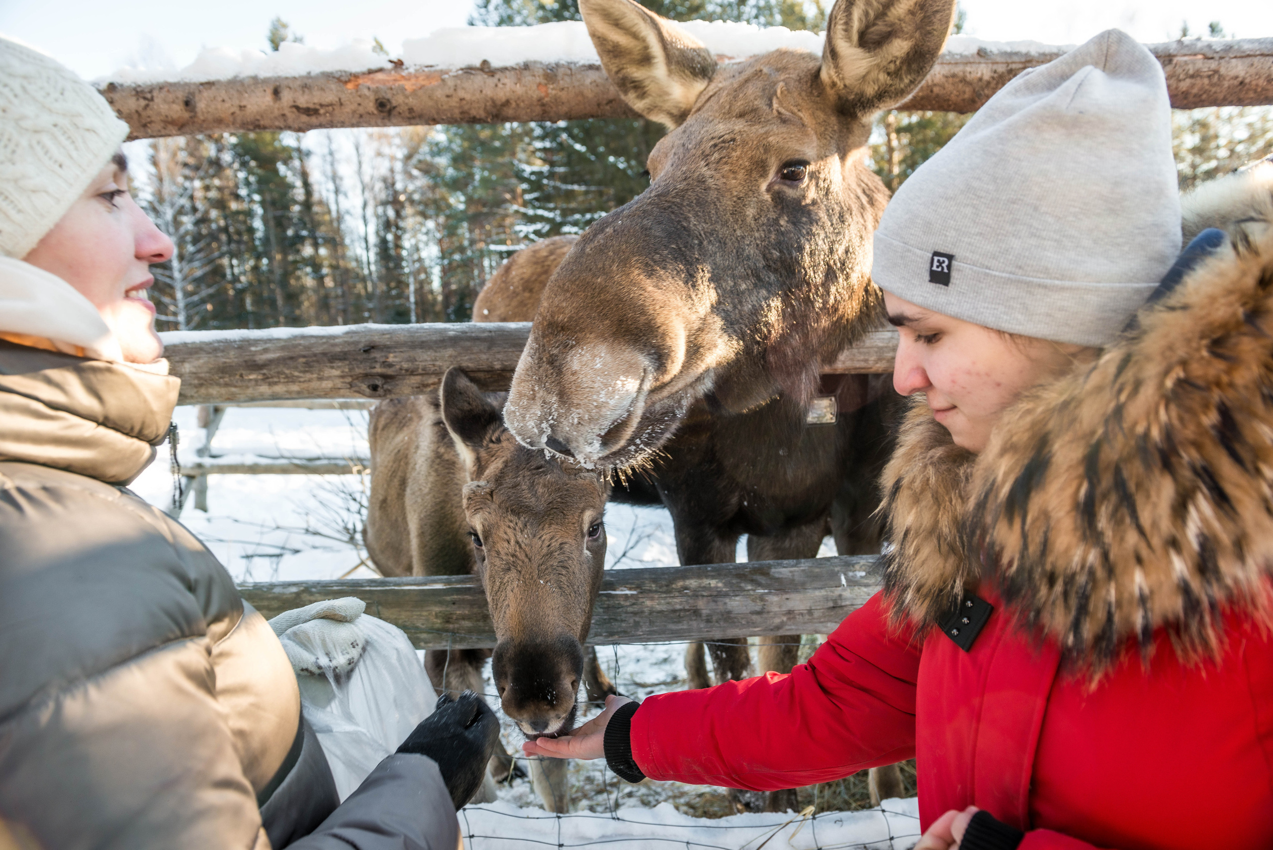 Парк Зюраткуль — Ледяной фонтан, Сохатка и хребет Москаль. Свадебный фотограф на Урале Виктор Соколов
