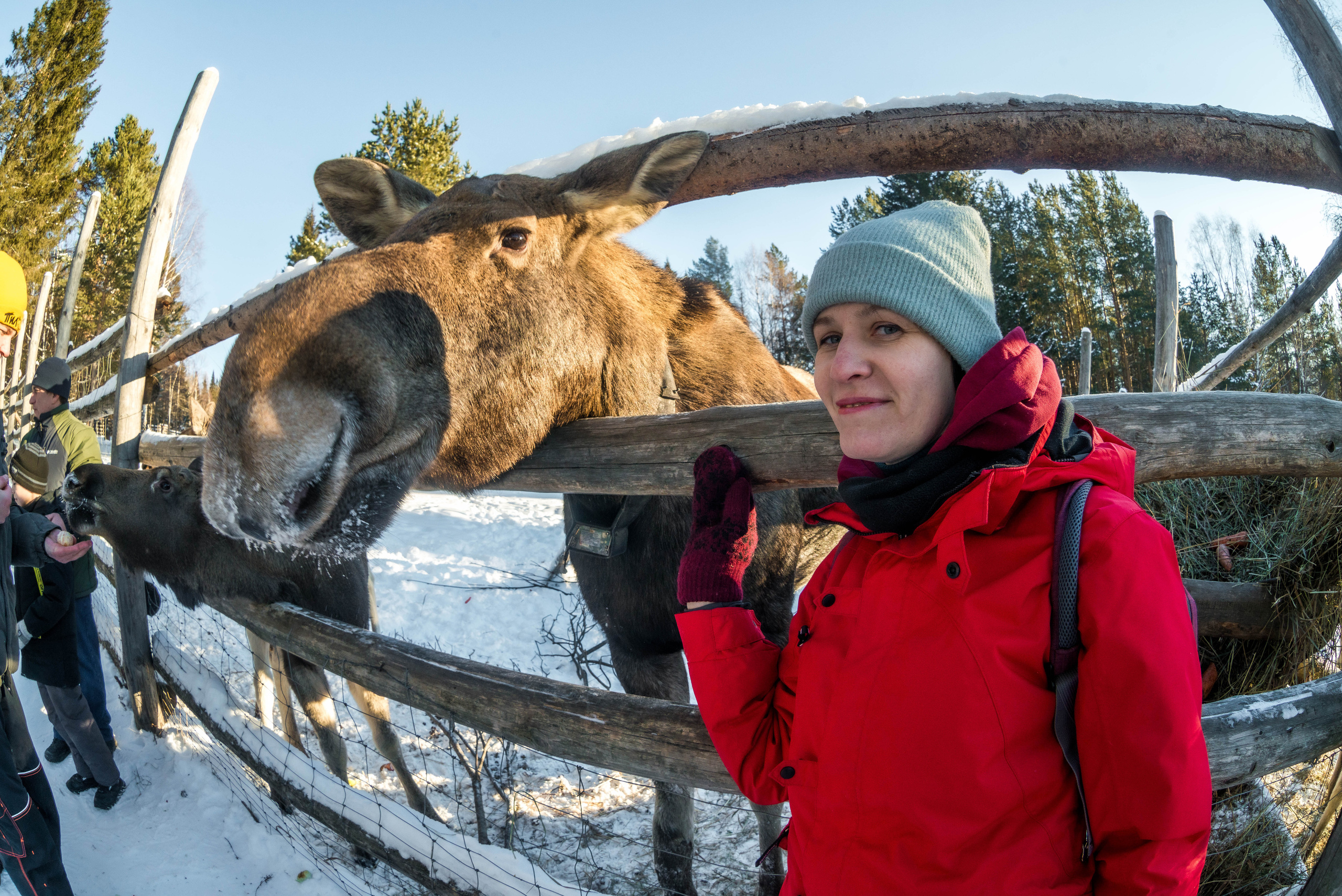 Парк Зюраткуль — Ледяной фонтан, Сохатка и хребет Москаль. Свадебный фотограф на Урале Виктор Соколов