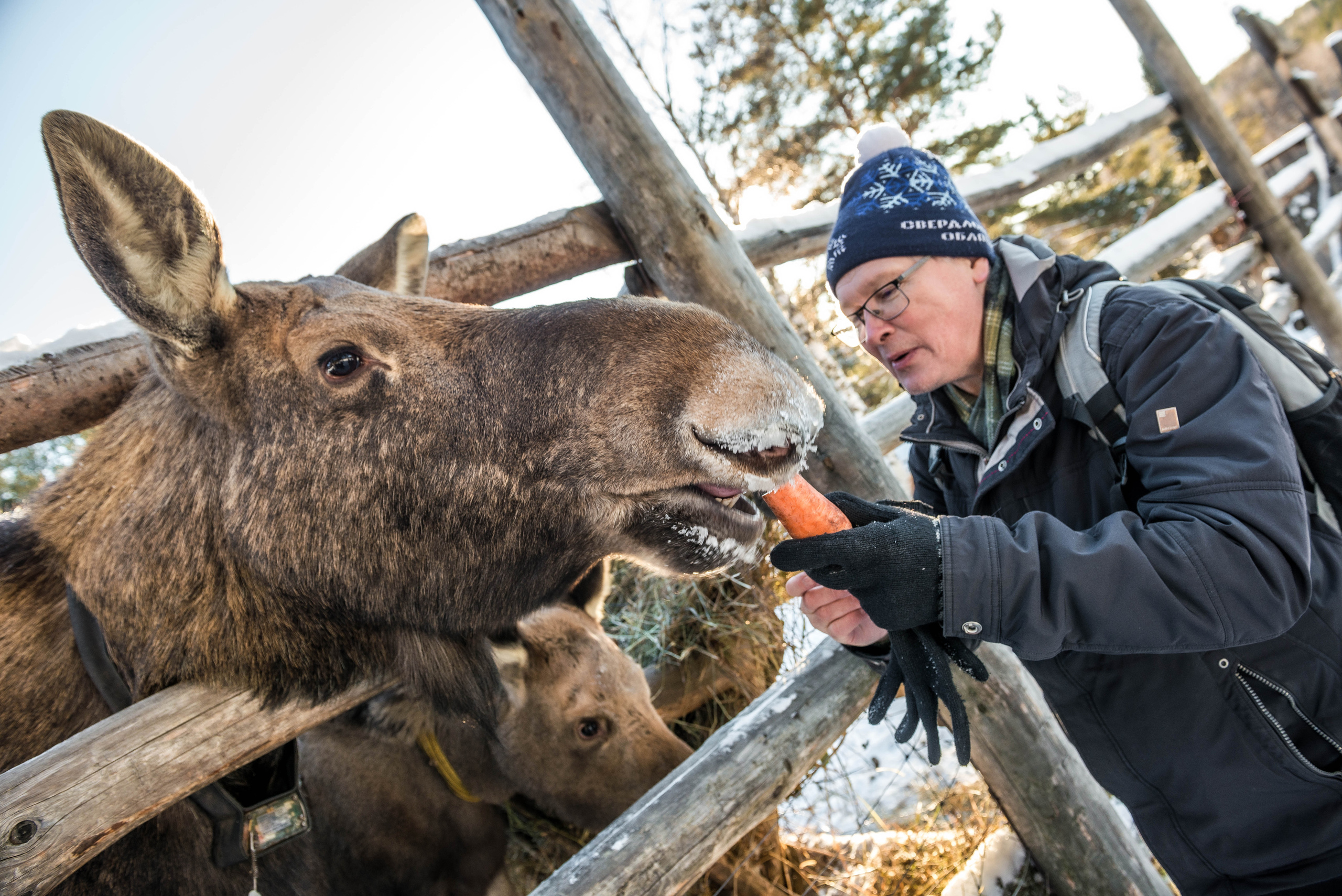 Парк Зюраткуль — Ледяной фонтан, Сохатка и хребет Москаль. Свадебный фотограф на Урале Виктор Соколов