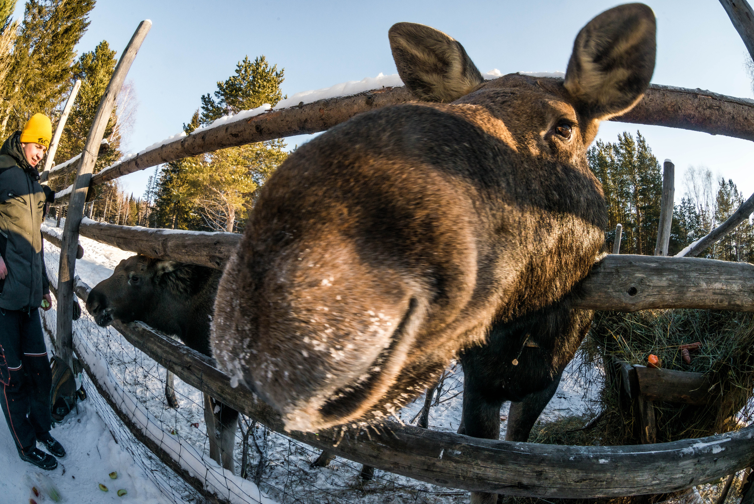 Парк Зюраткуль — Ледяной фонтан, Сохатка и хребет Москаль. Свадебный фотограф на Урале Виктор Соколов