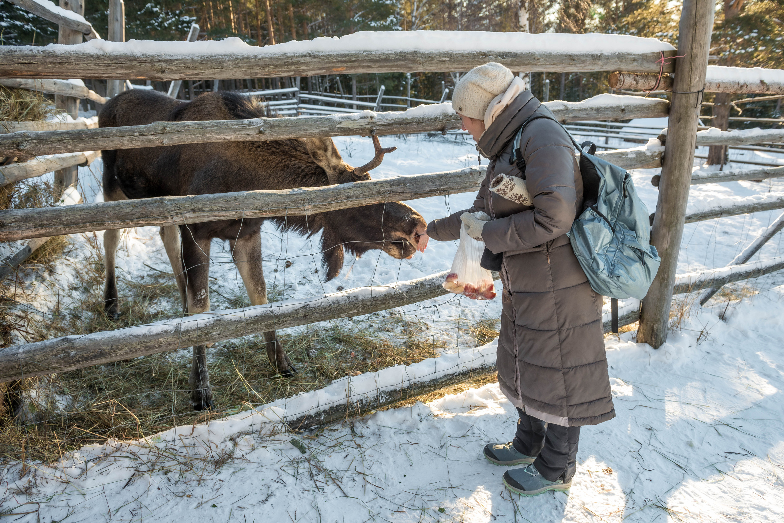 Парк Зюраткуль — Ледяной фонтан, Сохатка и хребет Москаль. Свадебный фотограф на Урале Виктор Соколов