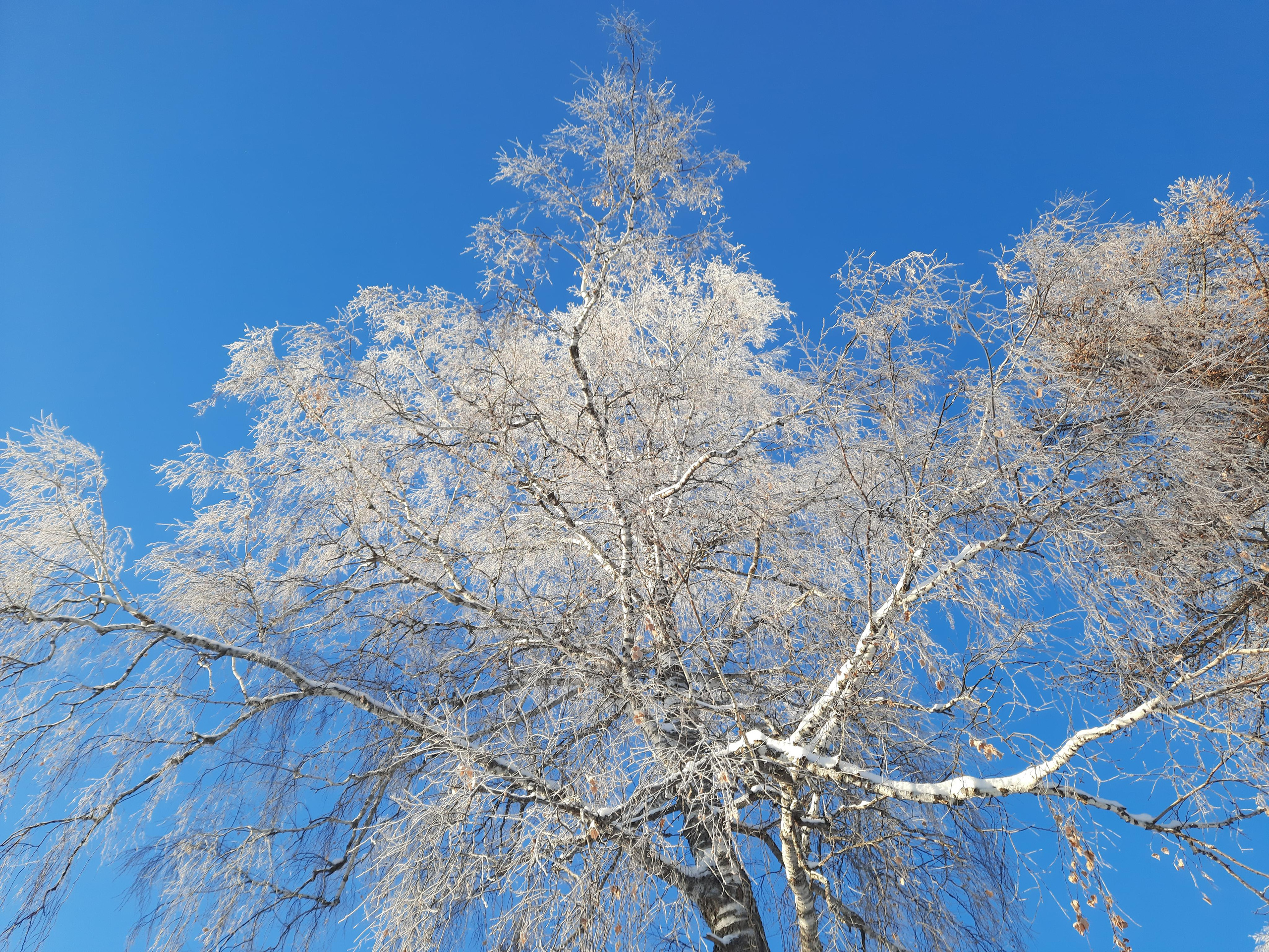 Парк Зюраткуль — Ледяной фонтан, Сохатка и хребет Москаль. Свадебный фотограф на Урале Виктор Соколов