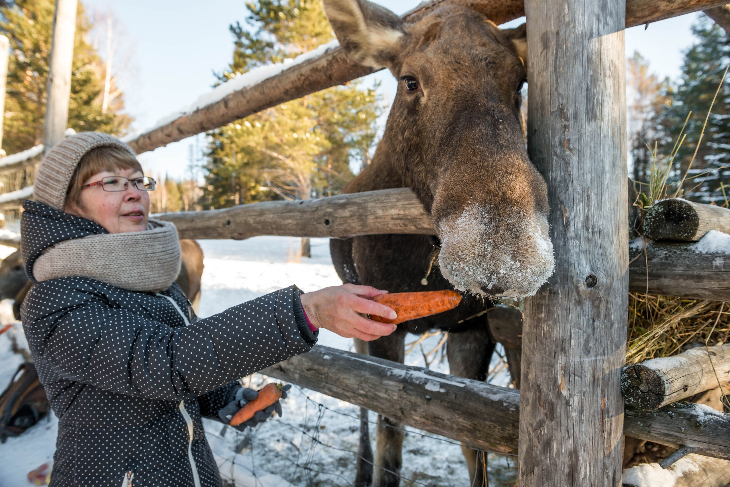 Парк Зюраткуль — Ледяной фонтан, Сохатка и хребет Москаль. Свадебный фотограф на Урале Виктор Соколов