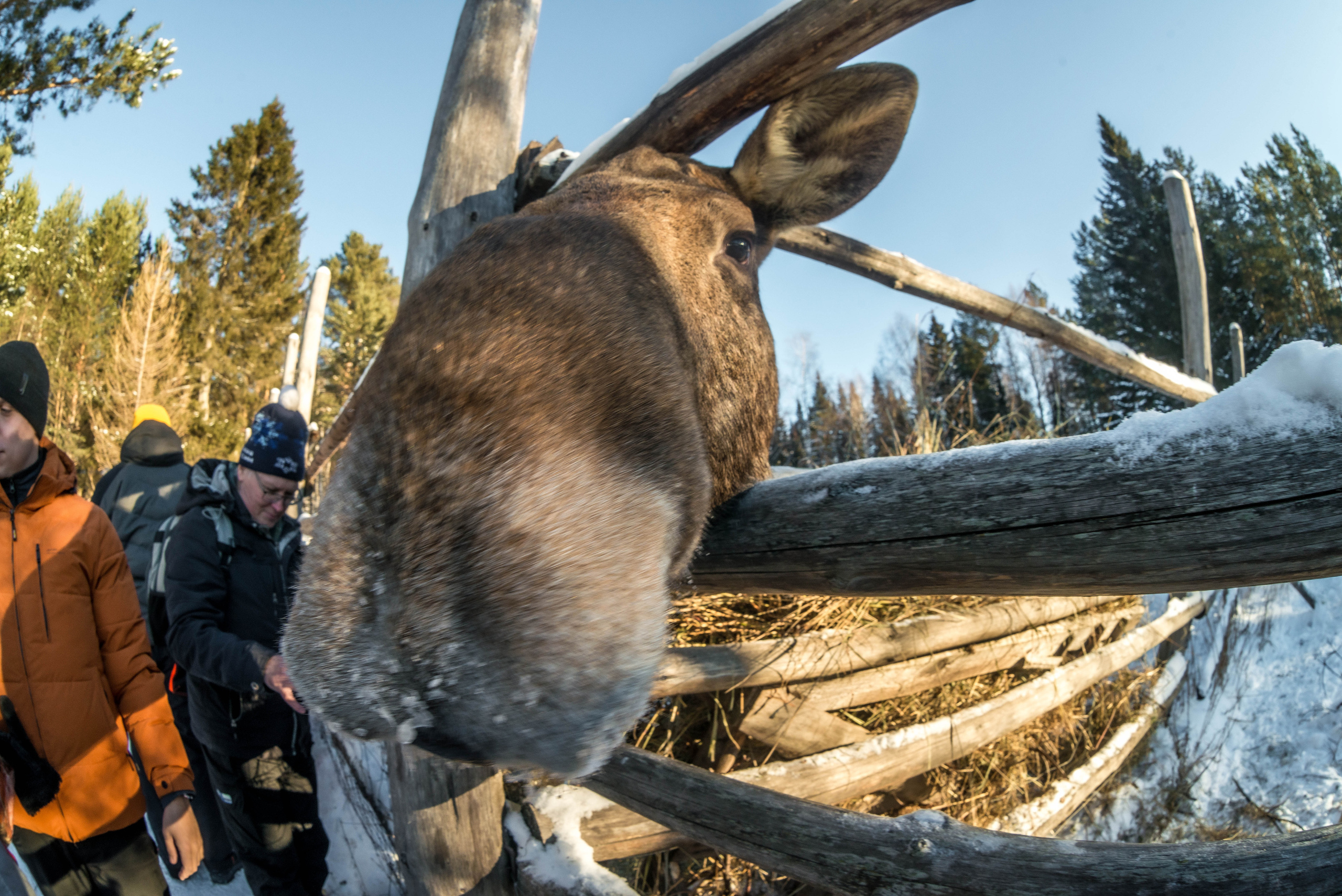 Парк Зюраткуль — Ледяной фонтан, Сохатка и хребет Москаль. Свадебный фотограф на Урале Виктор Соколов