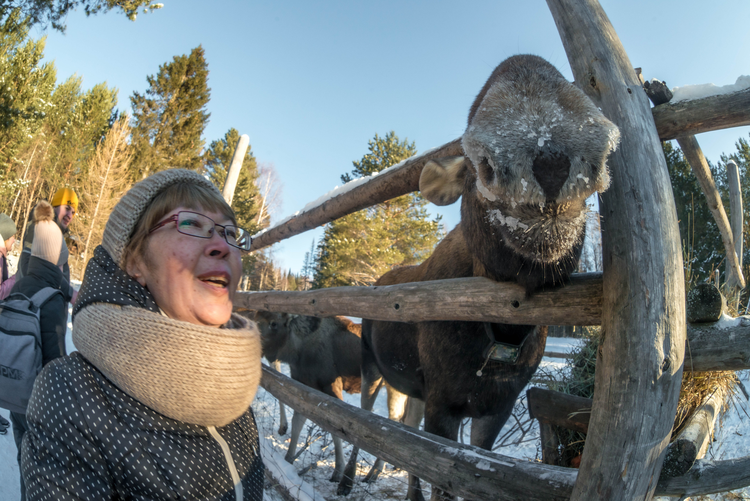 Парк Зюраткуль — Ледяной фонтан, Сохатка и хребет Москаль. Свадебный фотограф на Урале Виктор Соколов