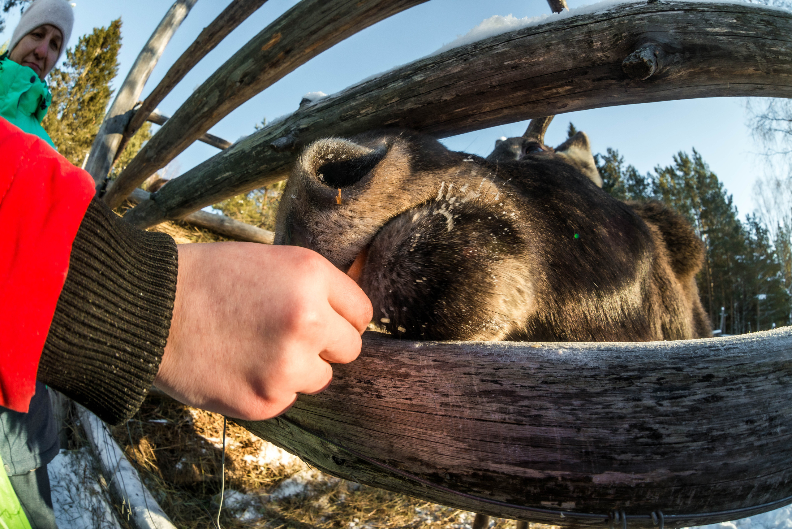 Парк Зюраткуль — Ледяной фонтан, Сохатка и хребет Москаль. Свадебный фотограф на Урале Виктор Соколов