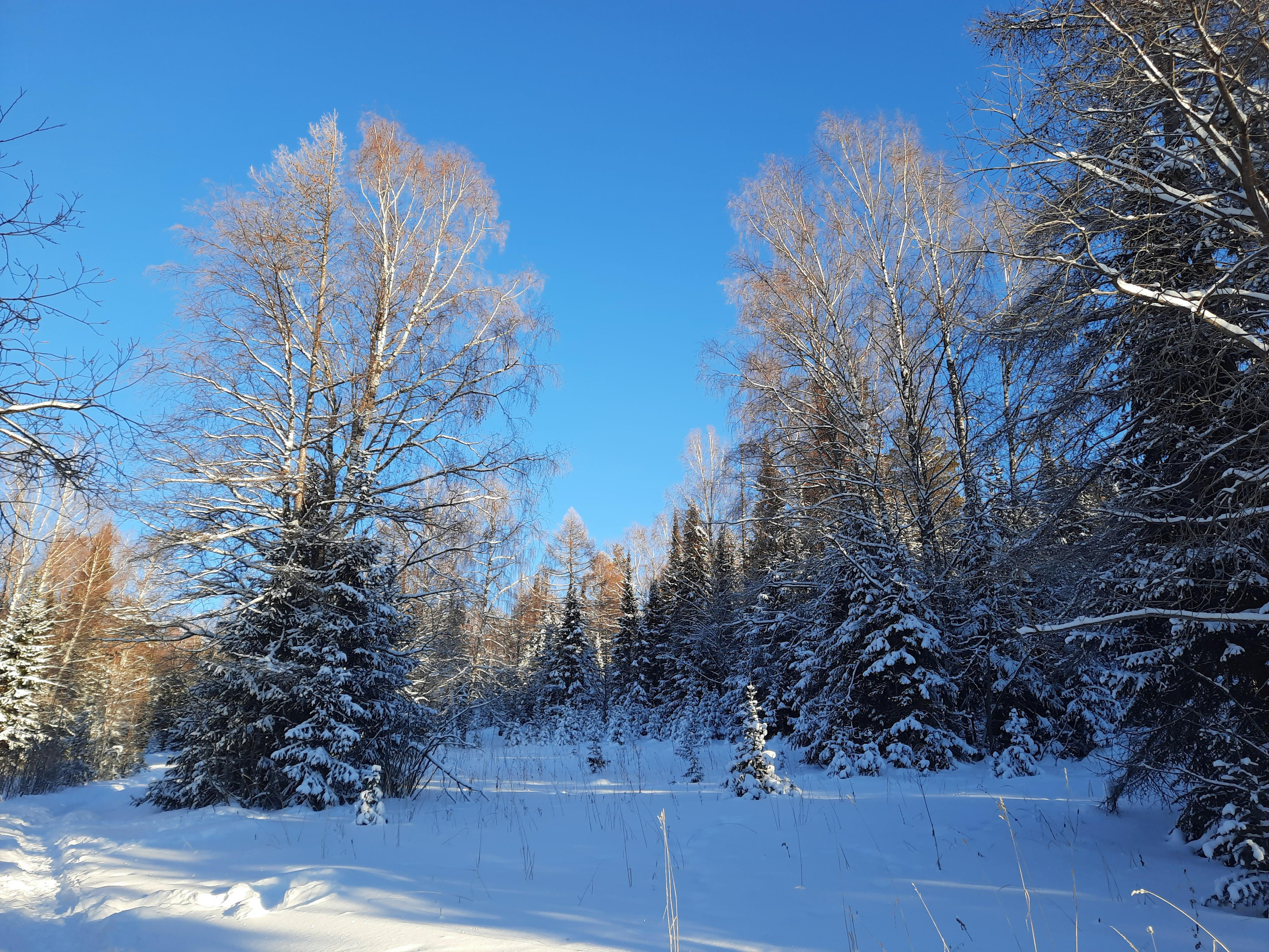 Парк Зюраткуль — Ледяной фонтан, Сохатка и хребет Москаль. Свадебный фотограф на Урале Виктор Соколов