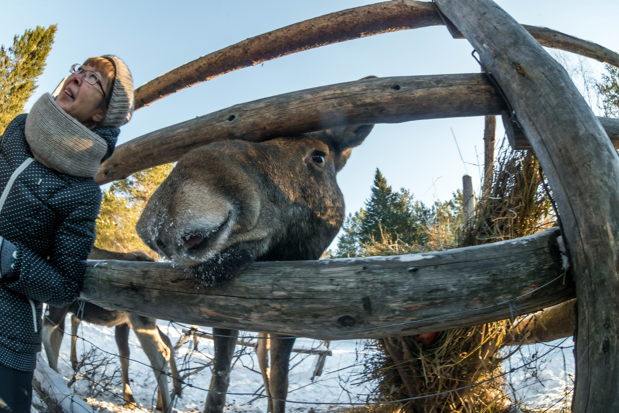 Парк Зюраткуль — Ледяной фонтан, Сохатка и хребет Москаль. Свадебный фотограф на Урале Виктор Соколов