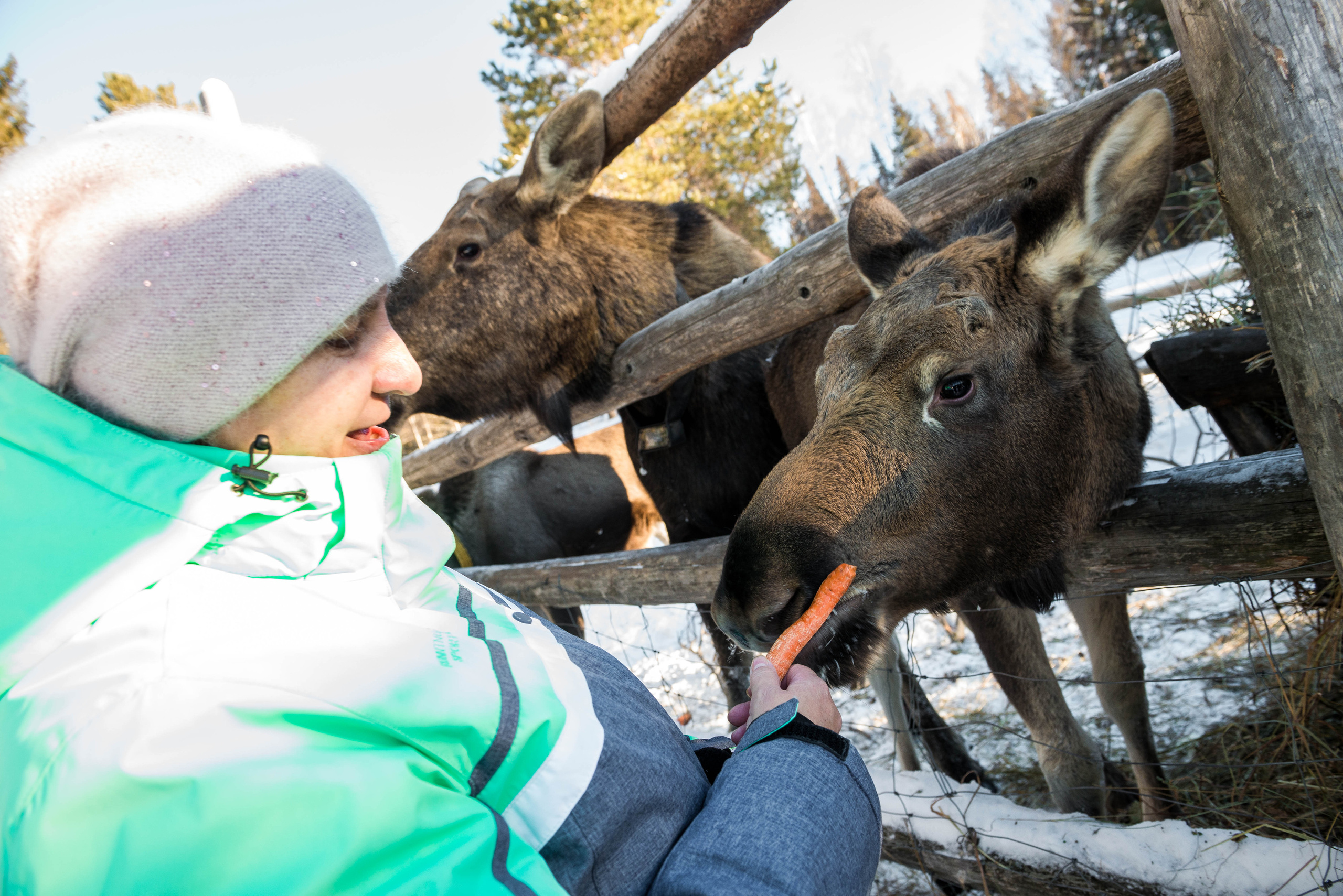 Парк Зюраткуль — Ледяной фонтан, Сохатка и хребет Москаль. Свадебный фотограф на Урале Виктор Соколов