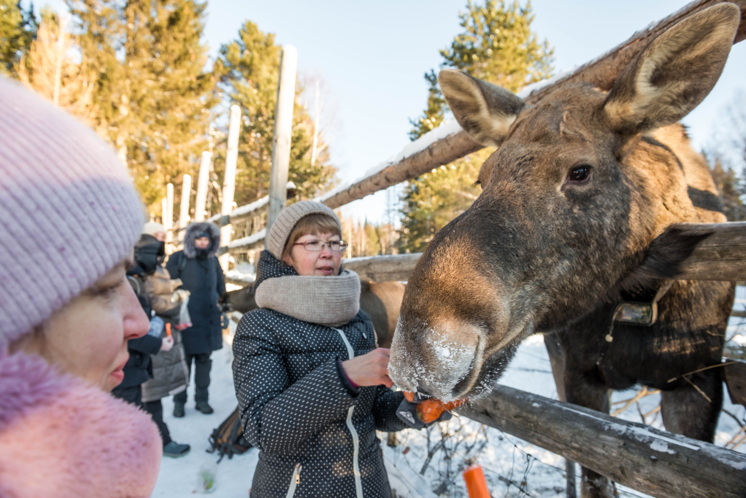 Парк Зюраткуль — Ледяной фонтан, Сохатка и хребет Москаль. Свадебный фотограф на Урале Виктор Соколов