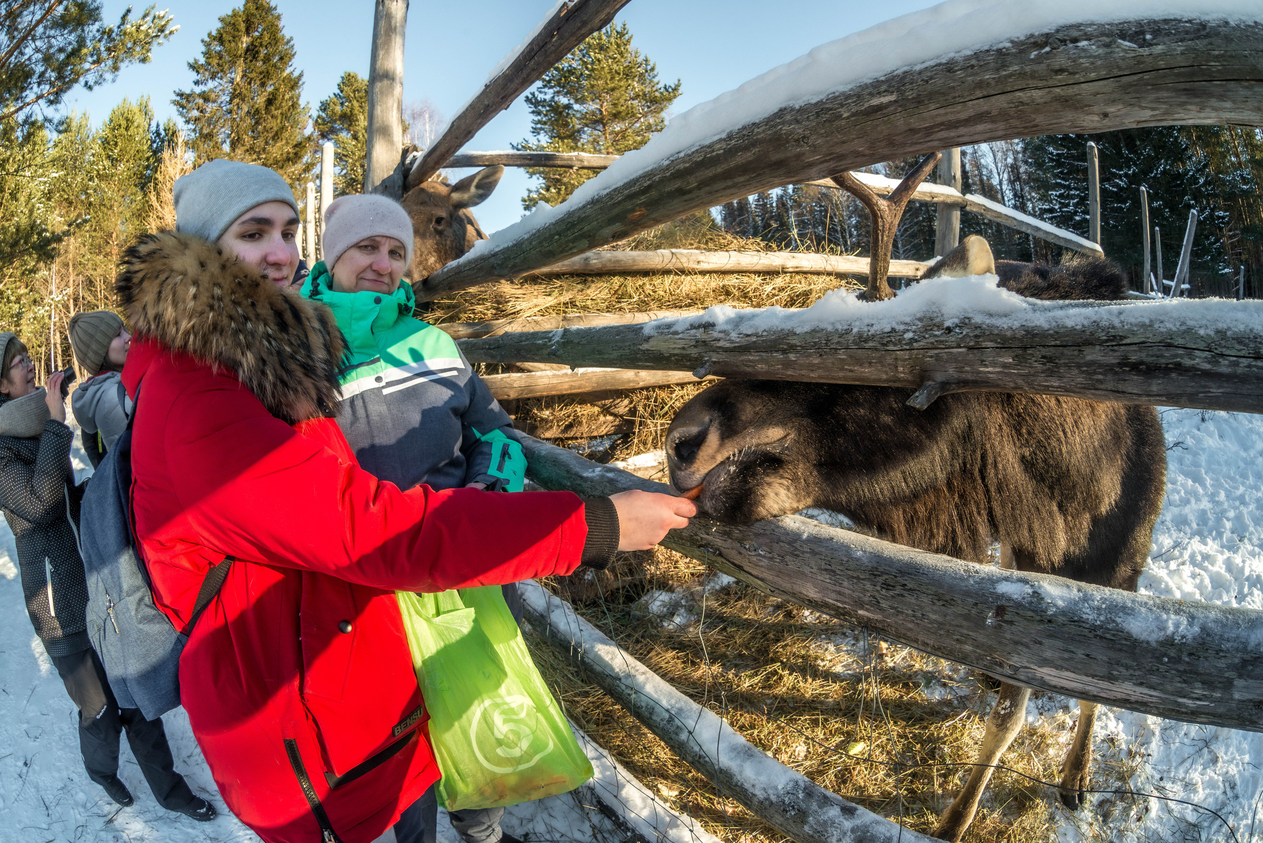 Парк Зюраткуль — Ледяной фонтан, Сохатка и хребет Москаль. Свадебный фотограф на Урале Виктор Соколов