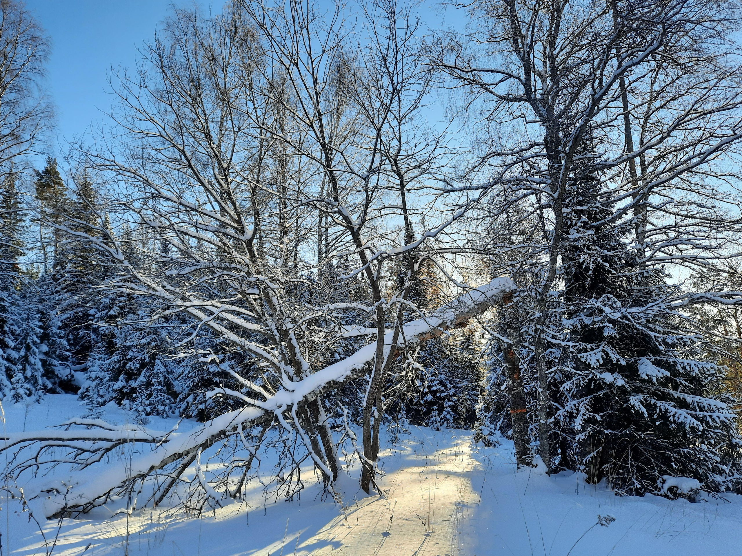 Парк Зюраткуль — Ледяной фонтан, Сохатка и хребет Москаль. Свадебный фотограф на Урале Виктор Соколов