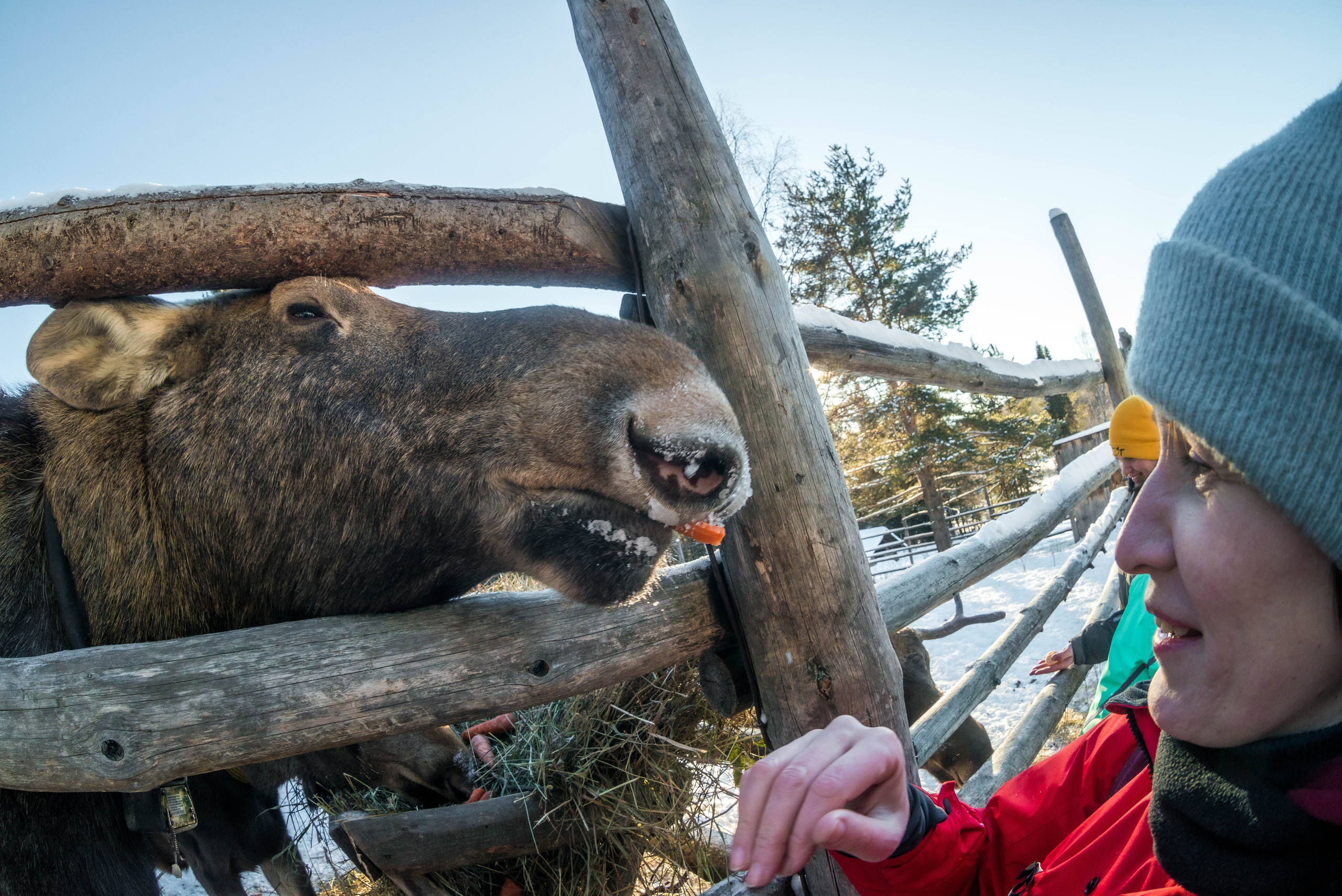 Парк Зюраткуль — Ледяной фонтан, Сохатка и хребет Москаль. Свадебный фотограф на Урале Виктор Соколов
