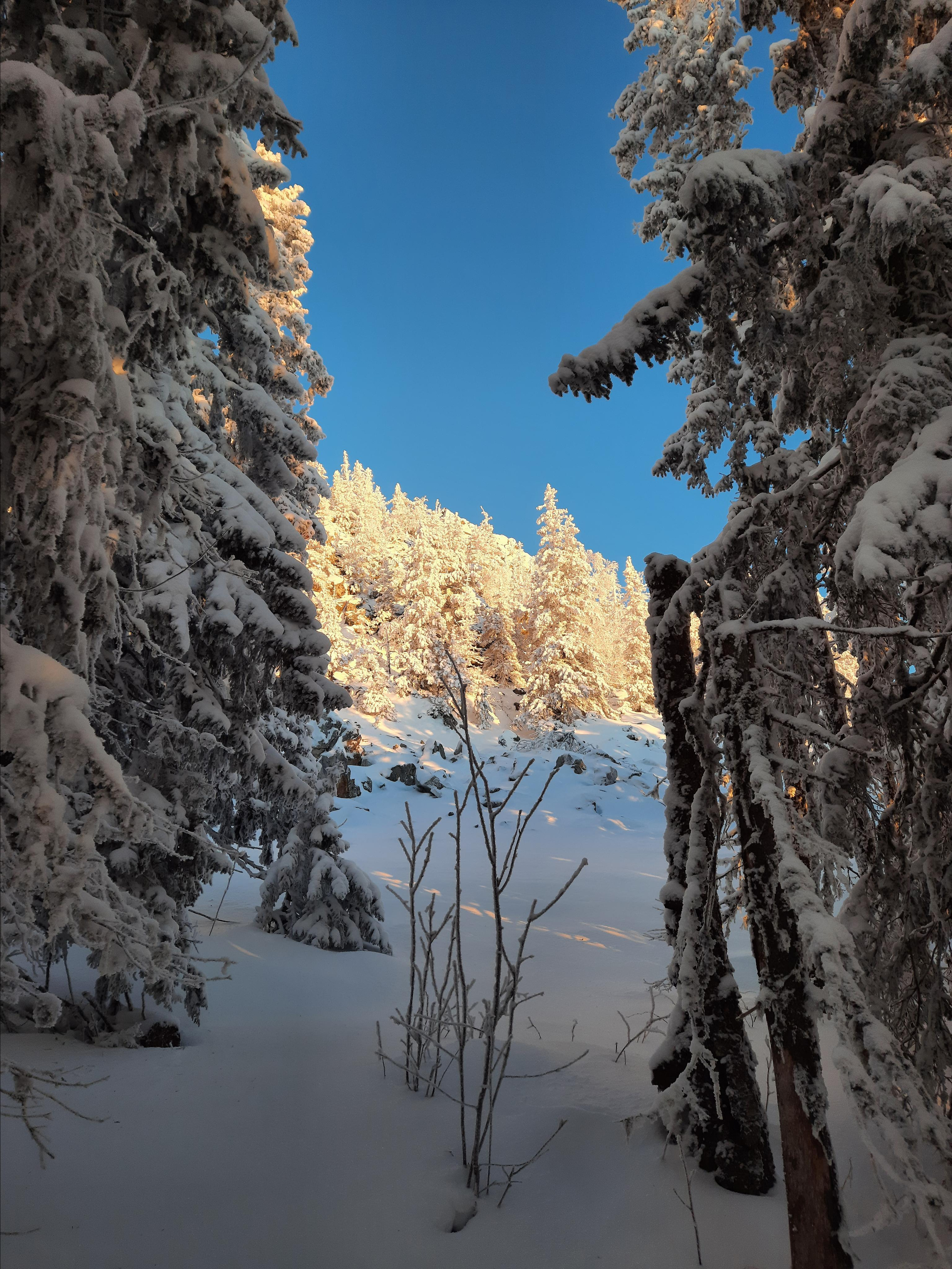Парк Зюраткуль — Ледяной фонтан, Сохатка и хребет Москаль. Свадебный фотограф на Урале Виктор Соколов
