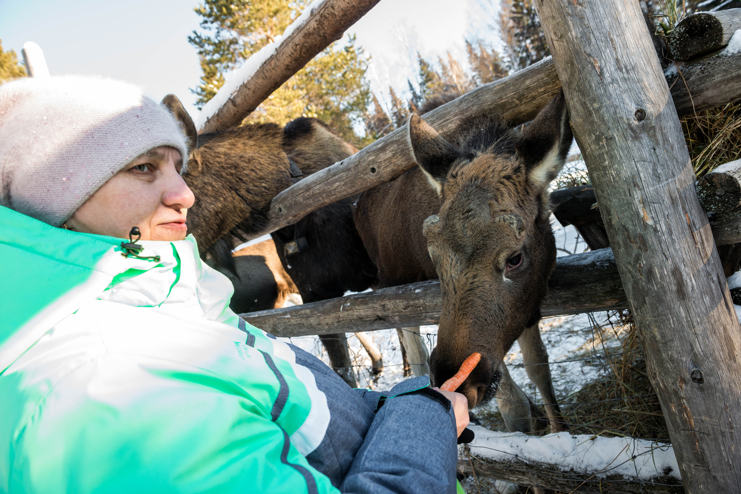 Парк Зюраткуль — Ледяной фонтан, Сохатка и хребет Москаль. Свадебный фотограф на Урале Виктор Соколов