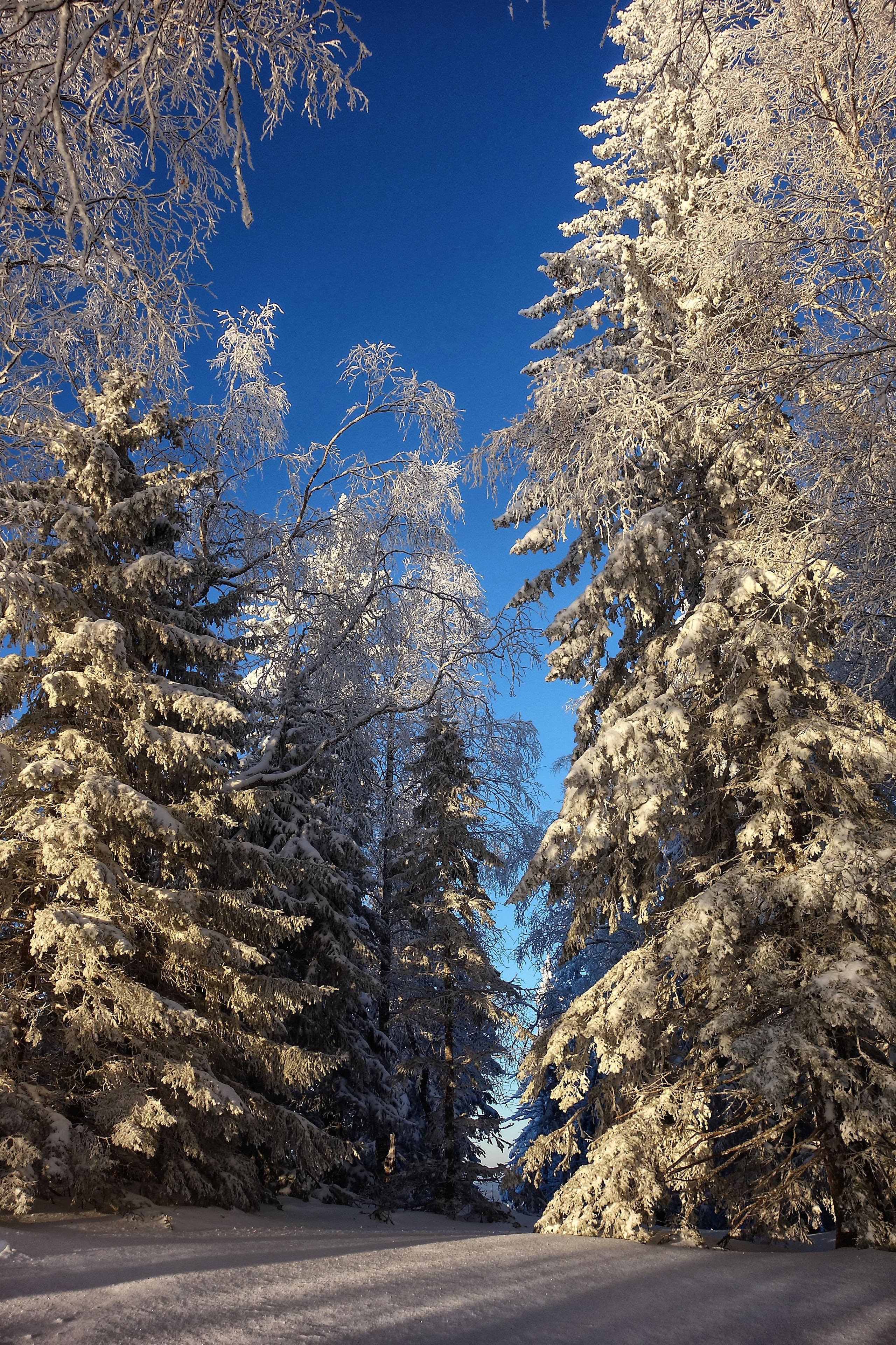 Парк Зюраткуль — Ледяной фонтан, Сохатка и хребет Москаль. Свадебный фотограф на Урале Виктор Соколов