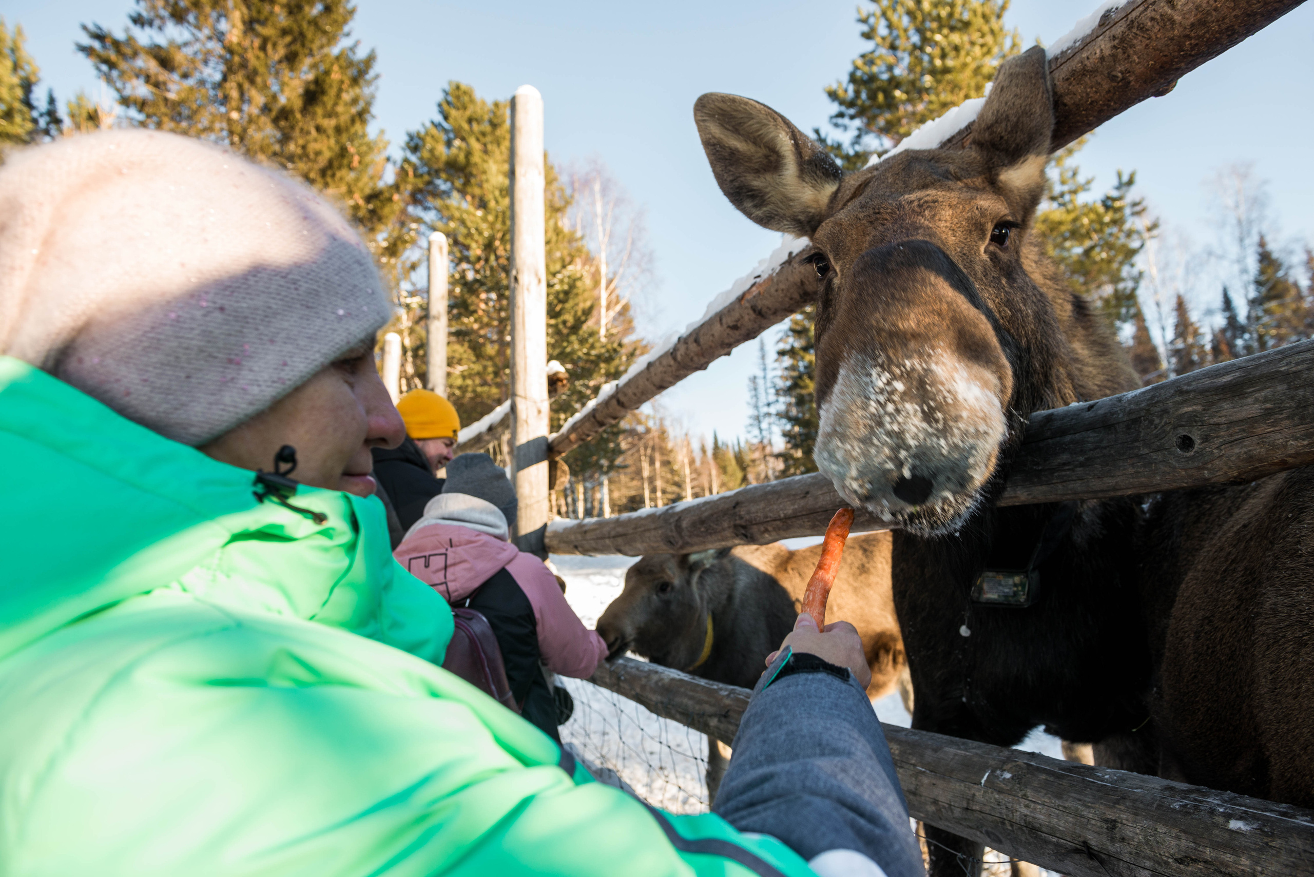 Парк Зюраткуль — Ледяной фонтан, Сохатка и хребет Москаль. Свадебный фотограф на Урале Виктор Соколов