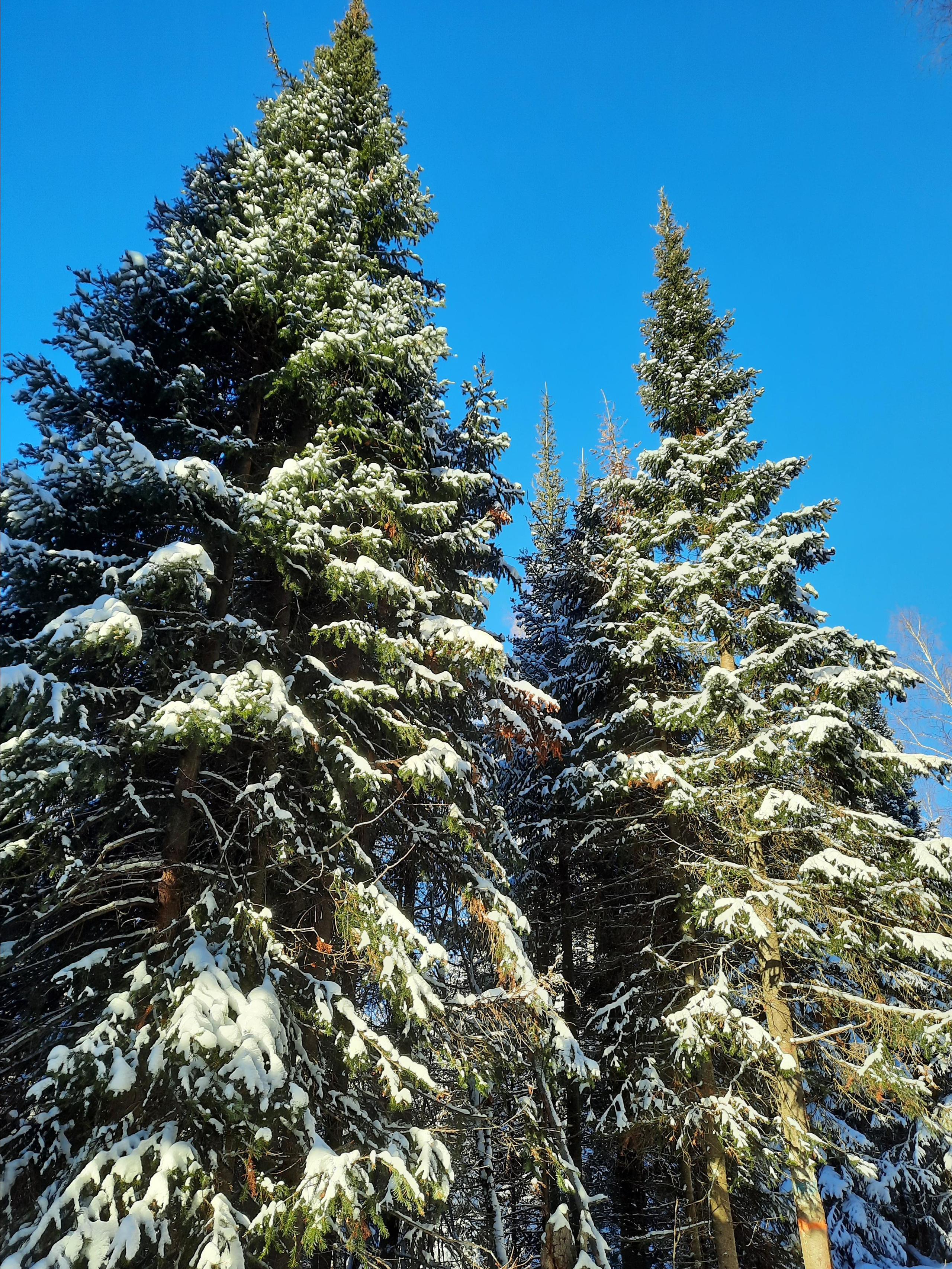 Парк Зюраткуль — Ледяной фонтан, Сохатка и хребет Москаль. Свадебный фотограф на Урале Виктор Соколов