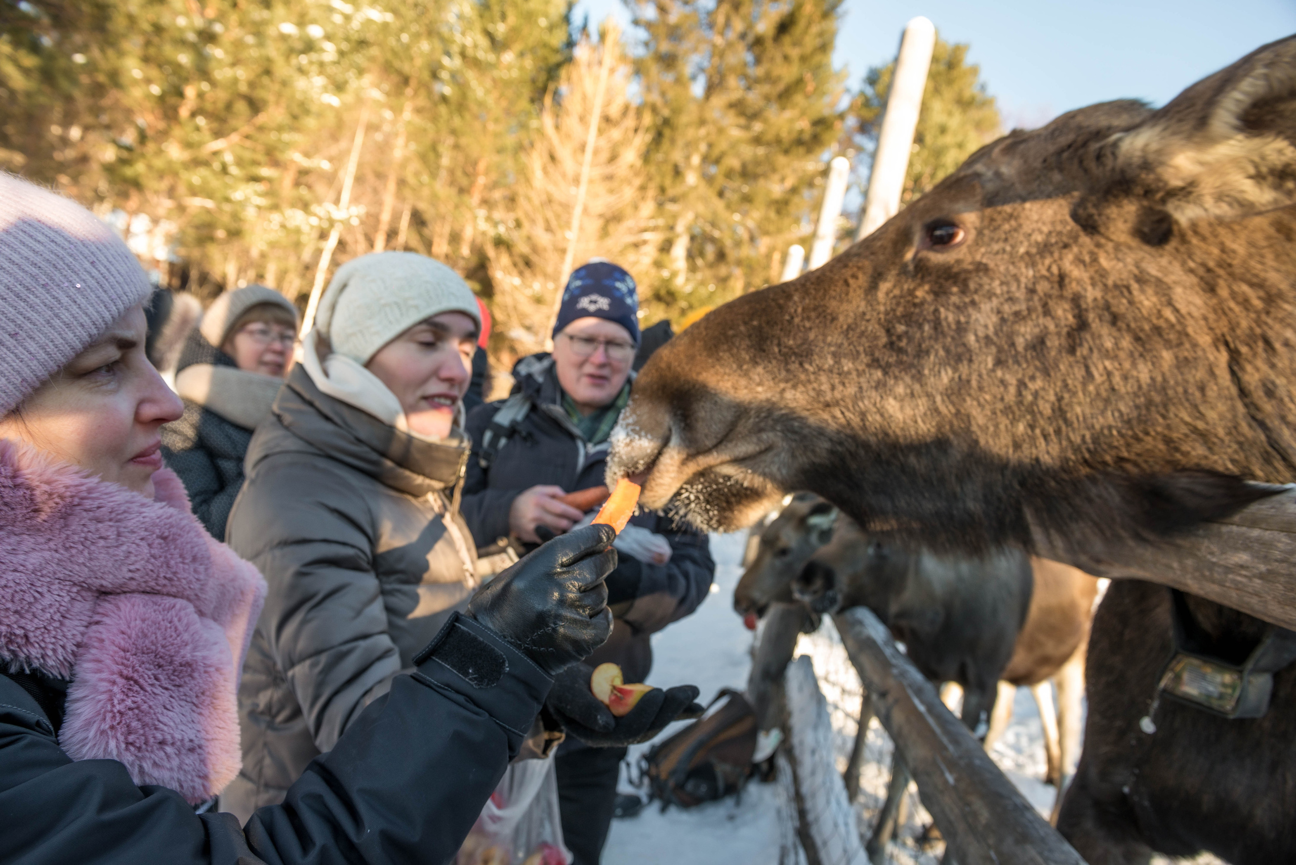 Парк Зюраткуль — Ледяной фонтан, Сохатка и хребет Москаль. Свадебный фотограф на Урале Виктор Соколов
