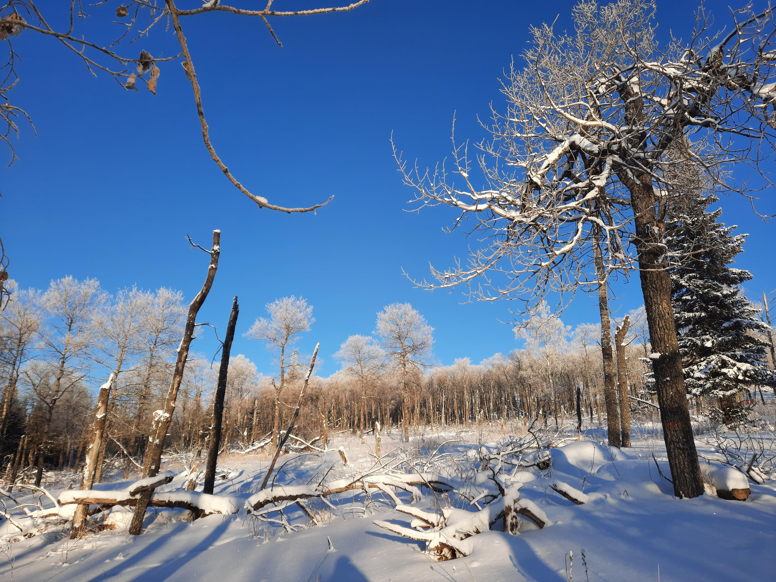 Парк Зюраткуль — Ледяной фонтан, Сохатка и хребет Москаль. Свадебный фотограф на Урале Виктор Соколов
