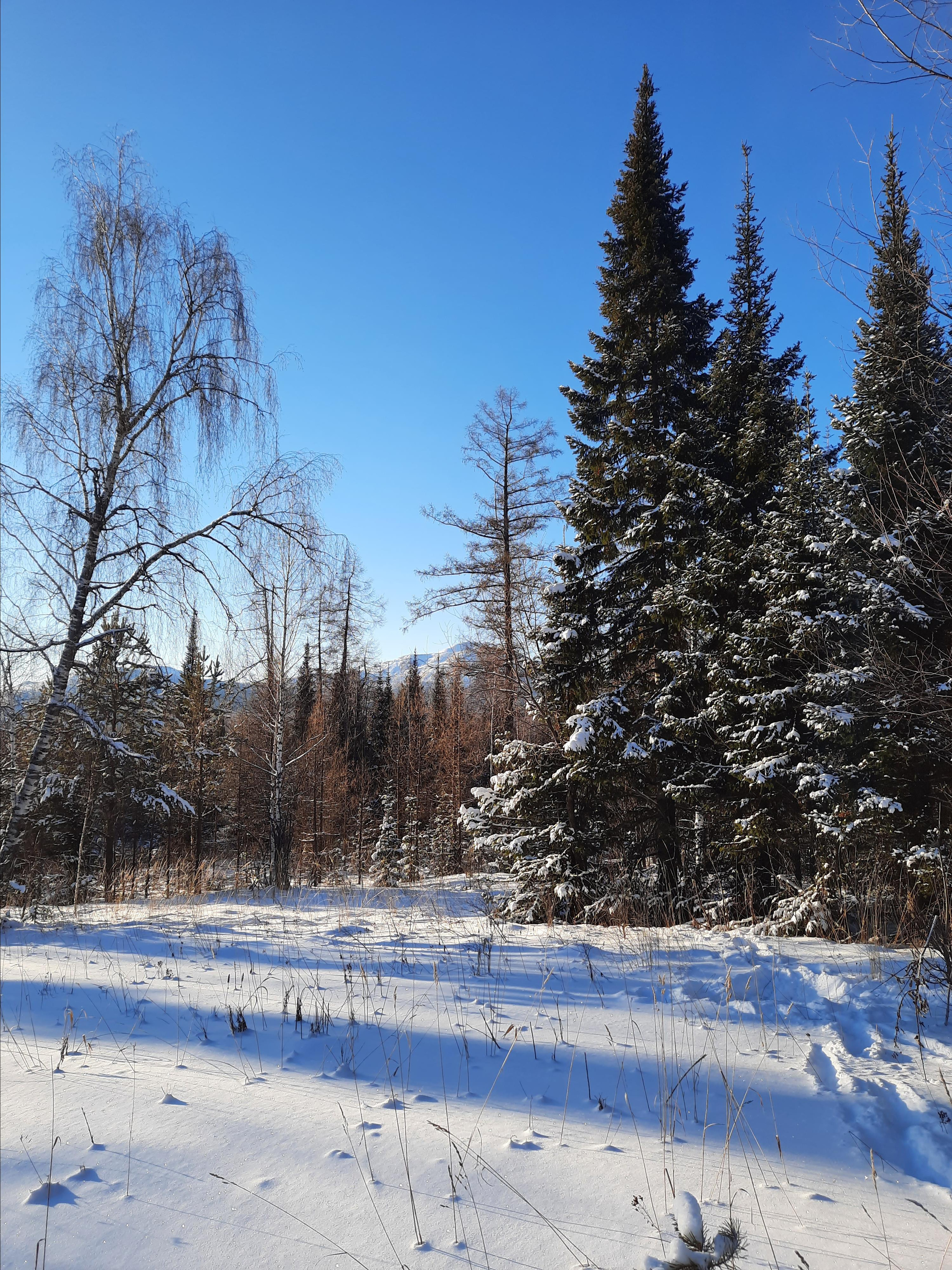 Парк Зюраткуль — Ледяной фонтан, Сохатка и хребет Москаль. Свадебный фотограф на Урале Виктор Соколов