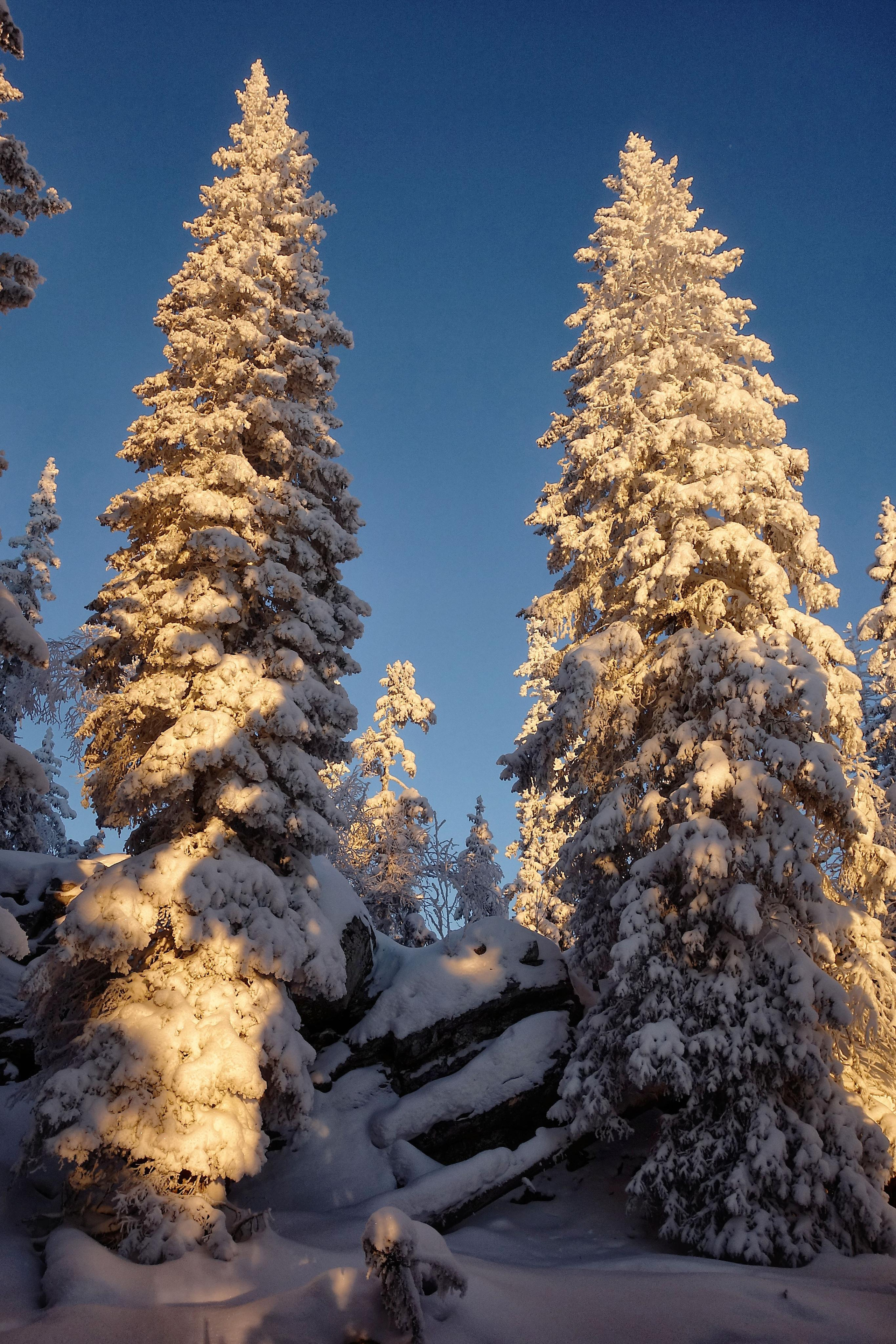 Парк Зюраткуль — Ледяной фонтан, Сохатка и хребет Москаль. Свадебный фотограф на Урале Виктор Соколов