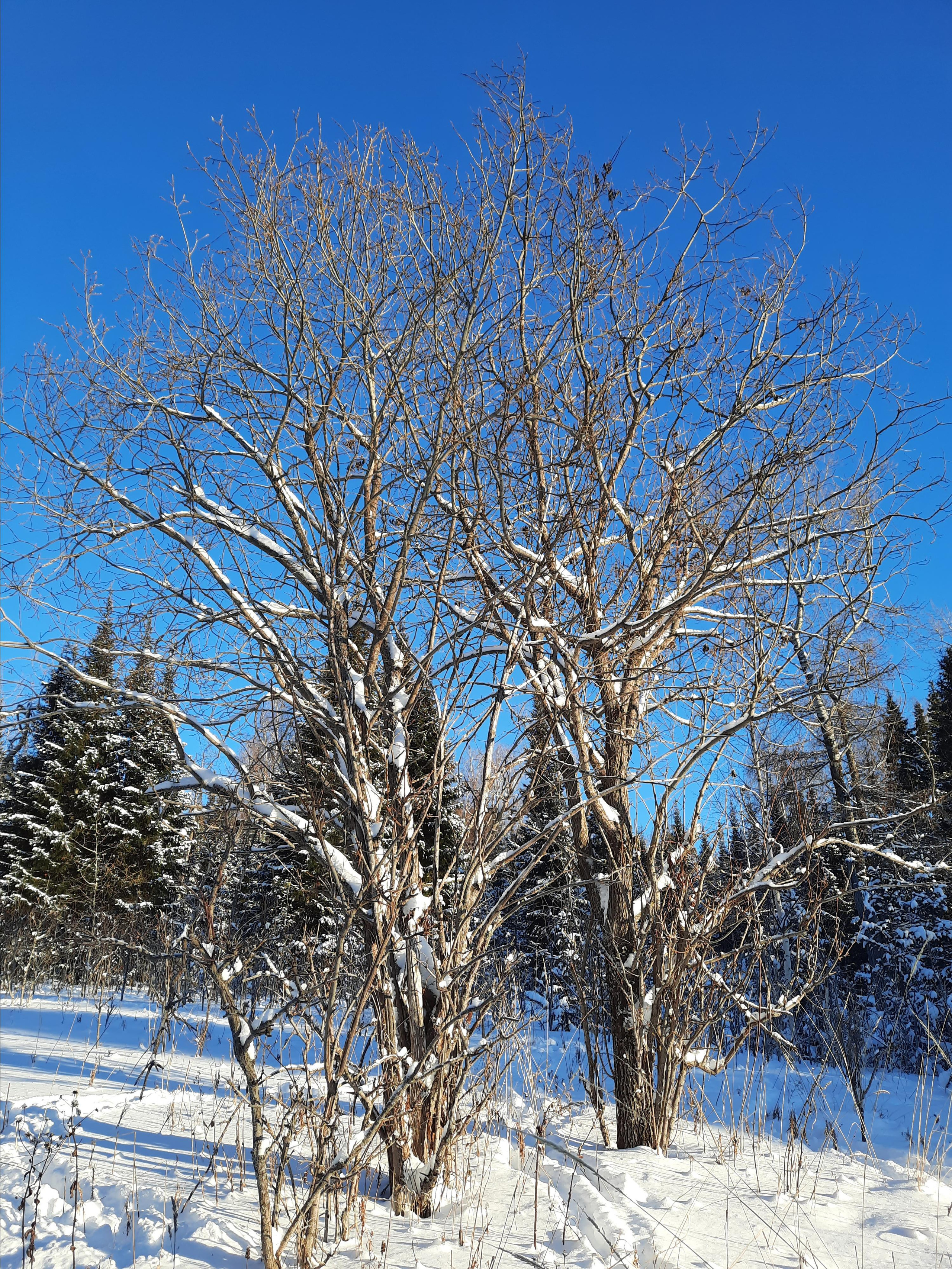 Парк Зюраткуль — Ледяной фонтан, Сохатка и хребет Москаль. Свадебный фотограф на Урале Виктор Соколов