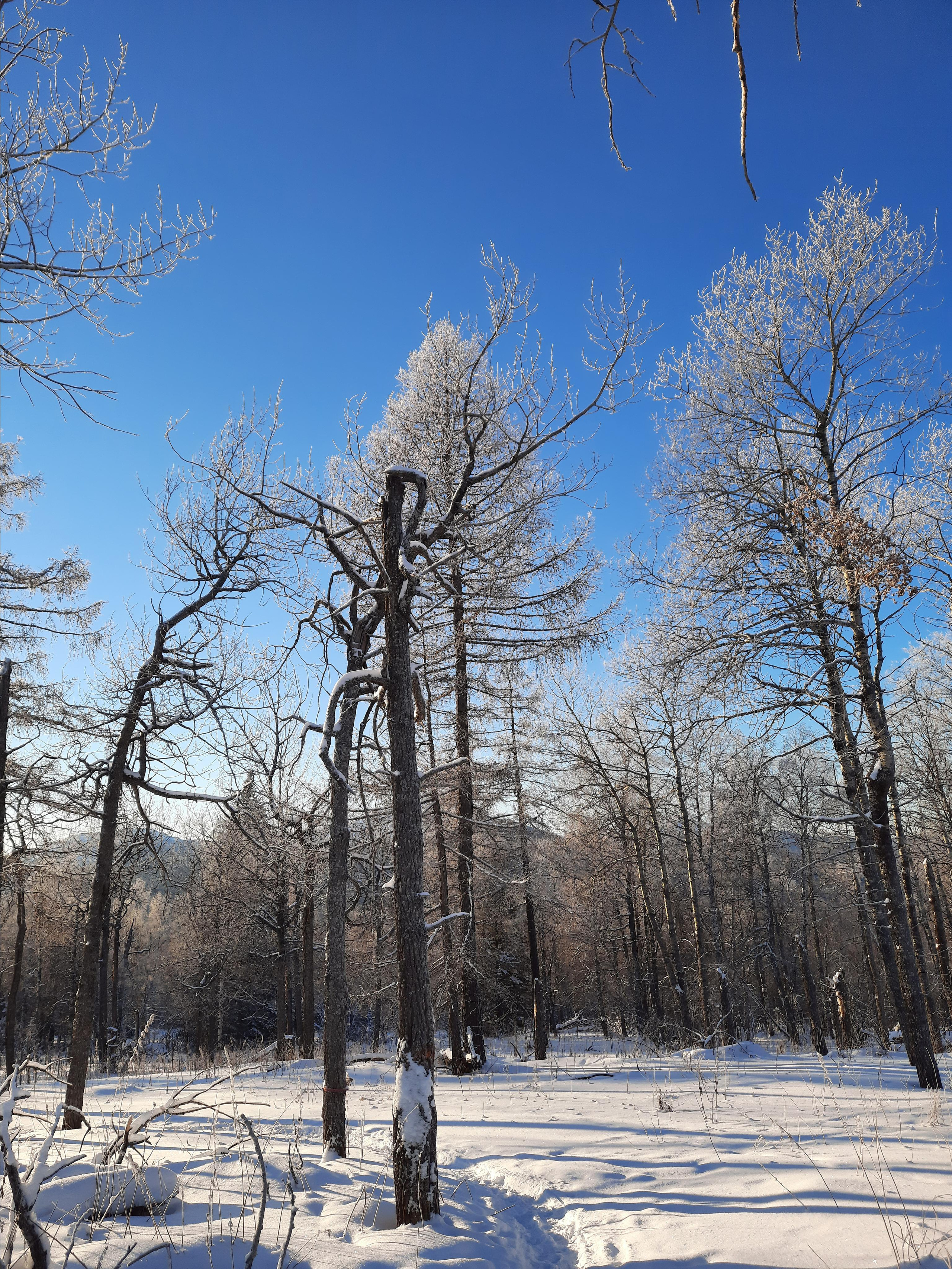 Парк Зюраткуль — Ледяной фонтан, Сохатка и хребет Москаль. Свадебный фотограф на Урале Виктор Соколов
