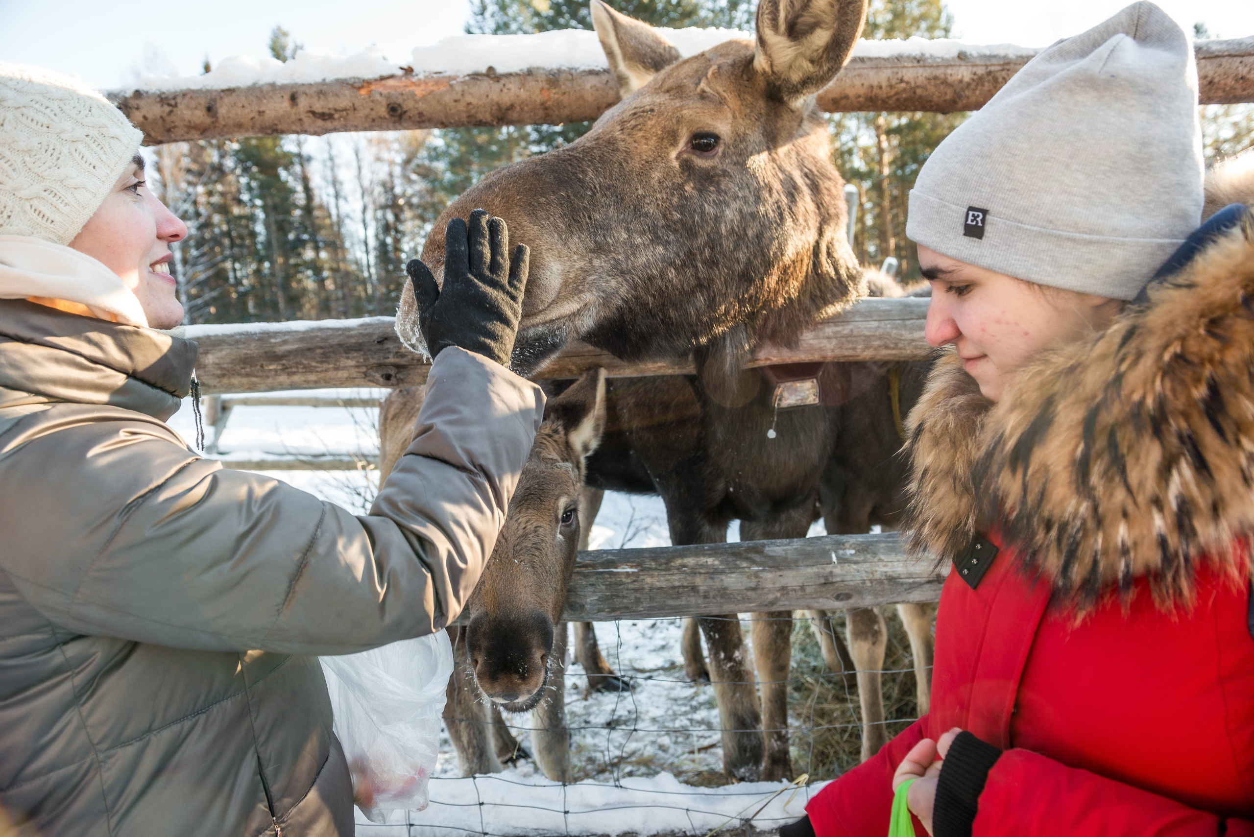 Парк Зюраткуль — Ледяной фонтан, Сохатка и хребет Москаль. Свадебный фотограф на Урале Виктор Соколов