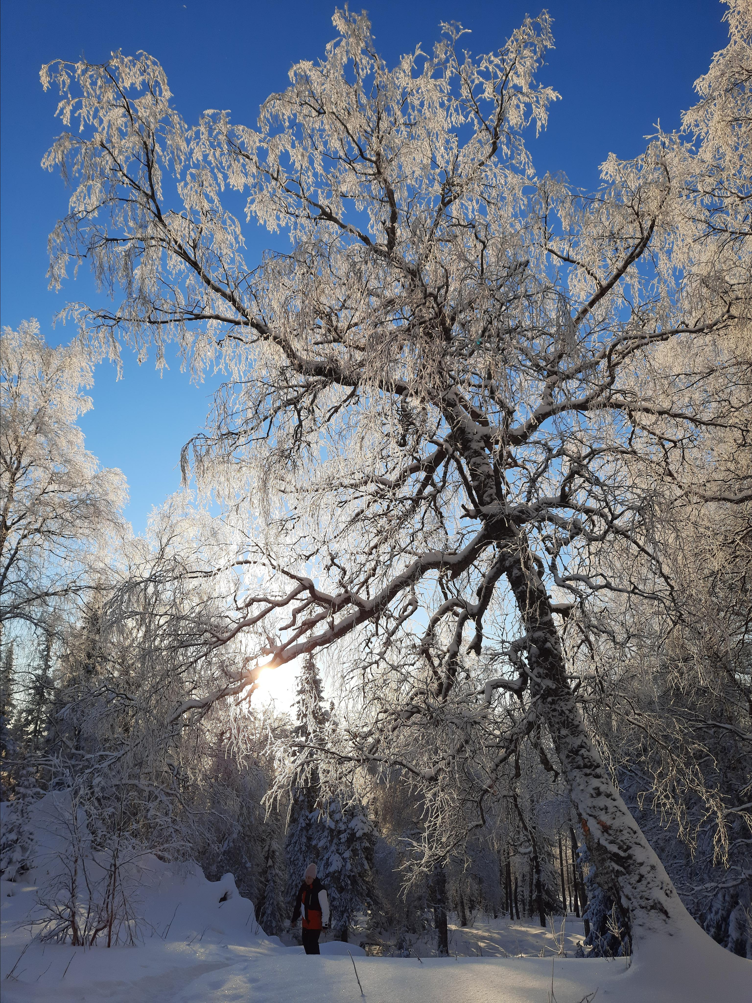 Парк Зюраткуль — Ледяной фонтан, Сохатка и хребет Москаль. Свадебный фотограф на Урале Виктор Соколов
