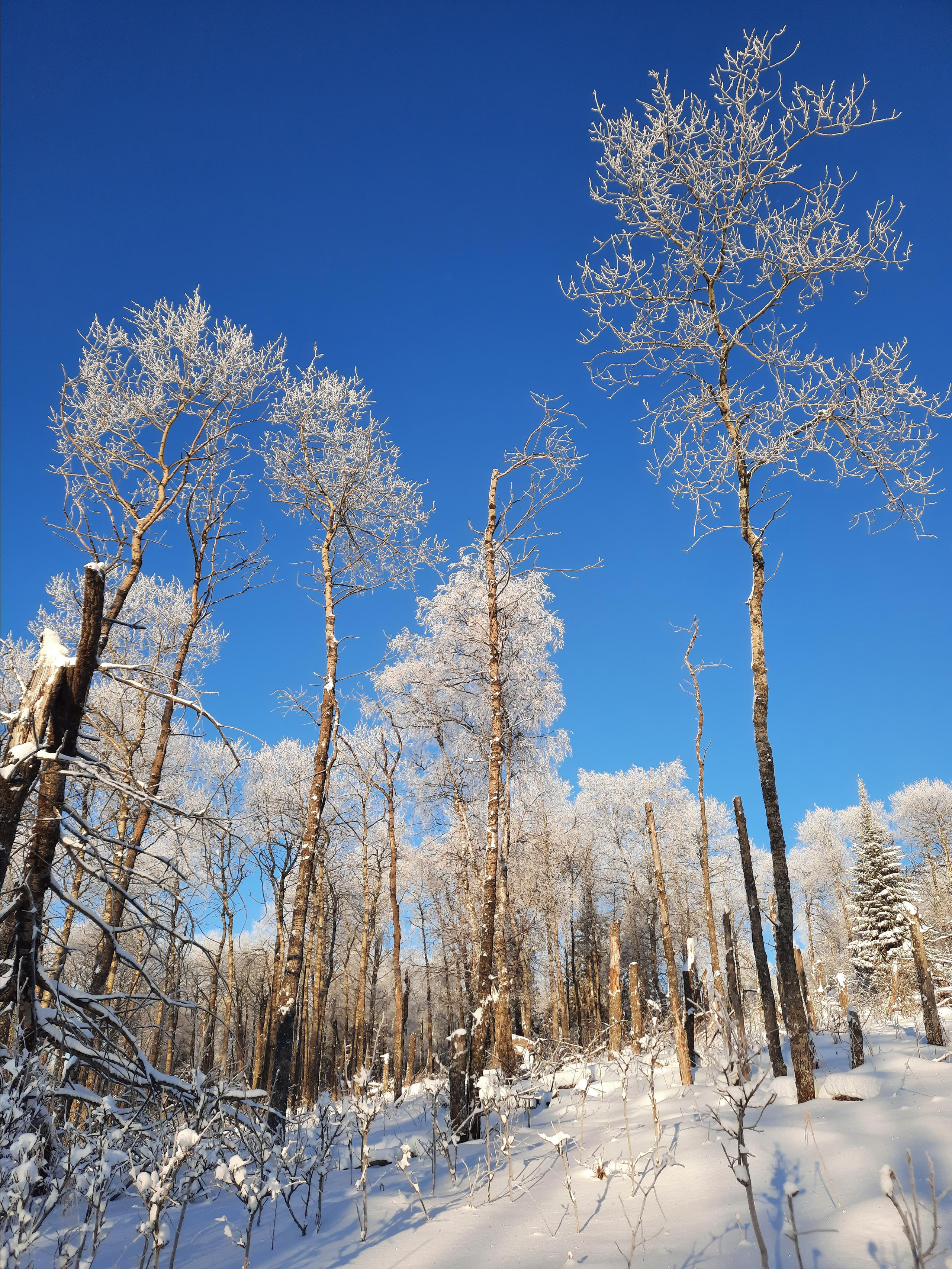 Парк Зюраткуль — Ледяной фонтан, Сохатка и хребет Москаль. Свадебный фотограф на Урале Виктор Соколов
