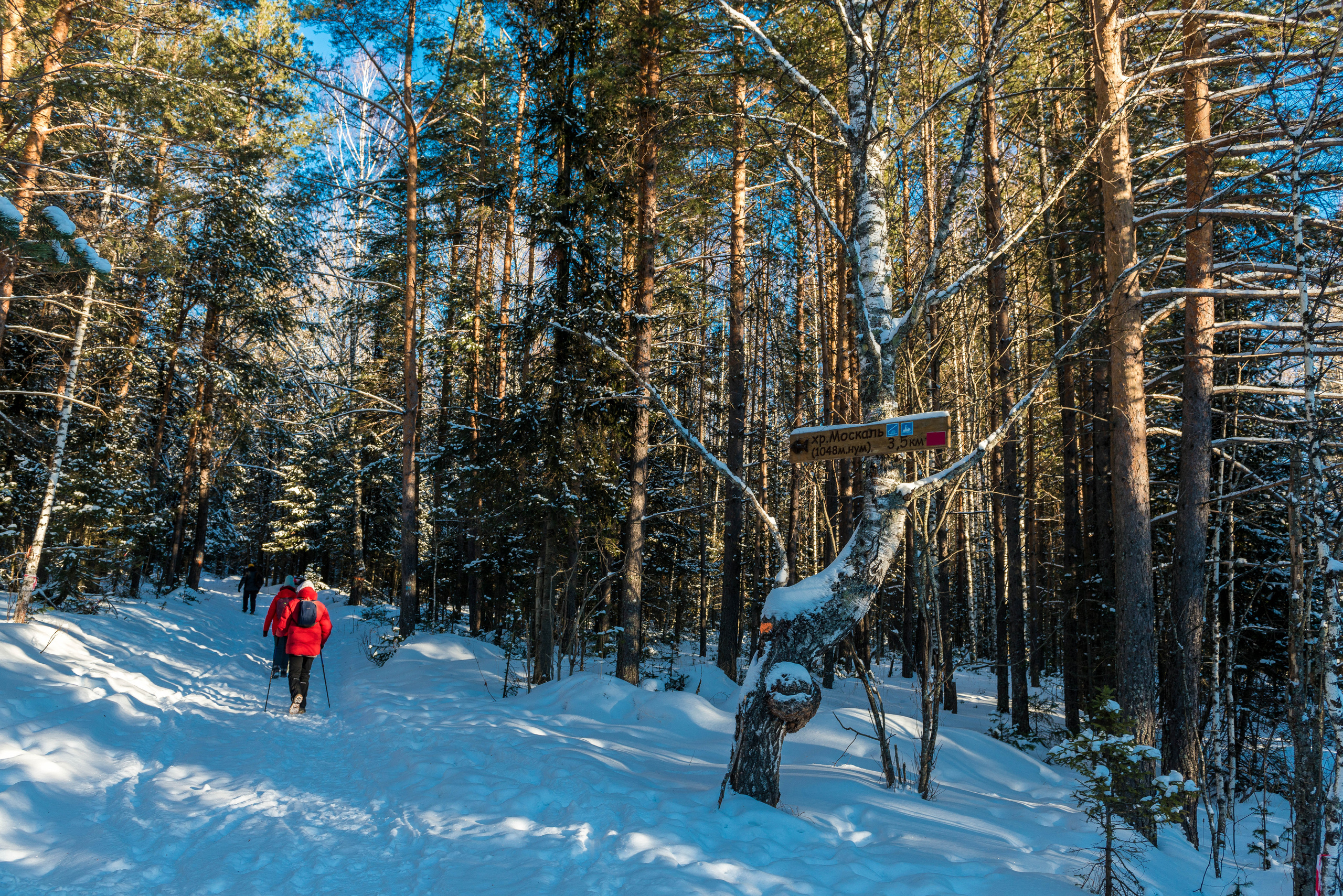 Парк Зюраткуль — Ледяной фонтан, Сохатка и хребет Москаль. Свадебный фотограф на Урале Виктор Соколов