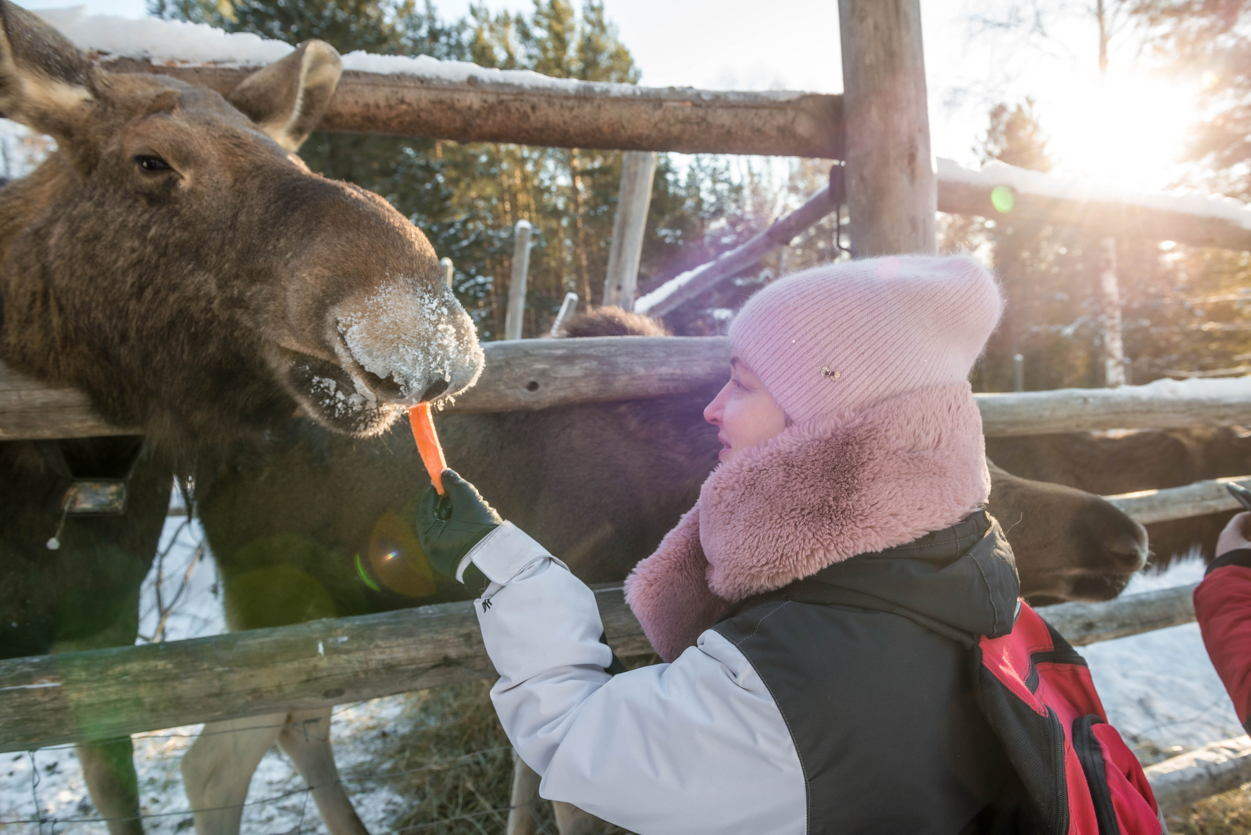 Парк Зюраткуль — Ледяной фонтан, Сохатка и хребет Москаль. Свадебный фотограф на Урале Виктор Соколов