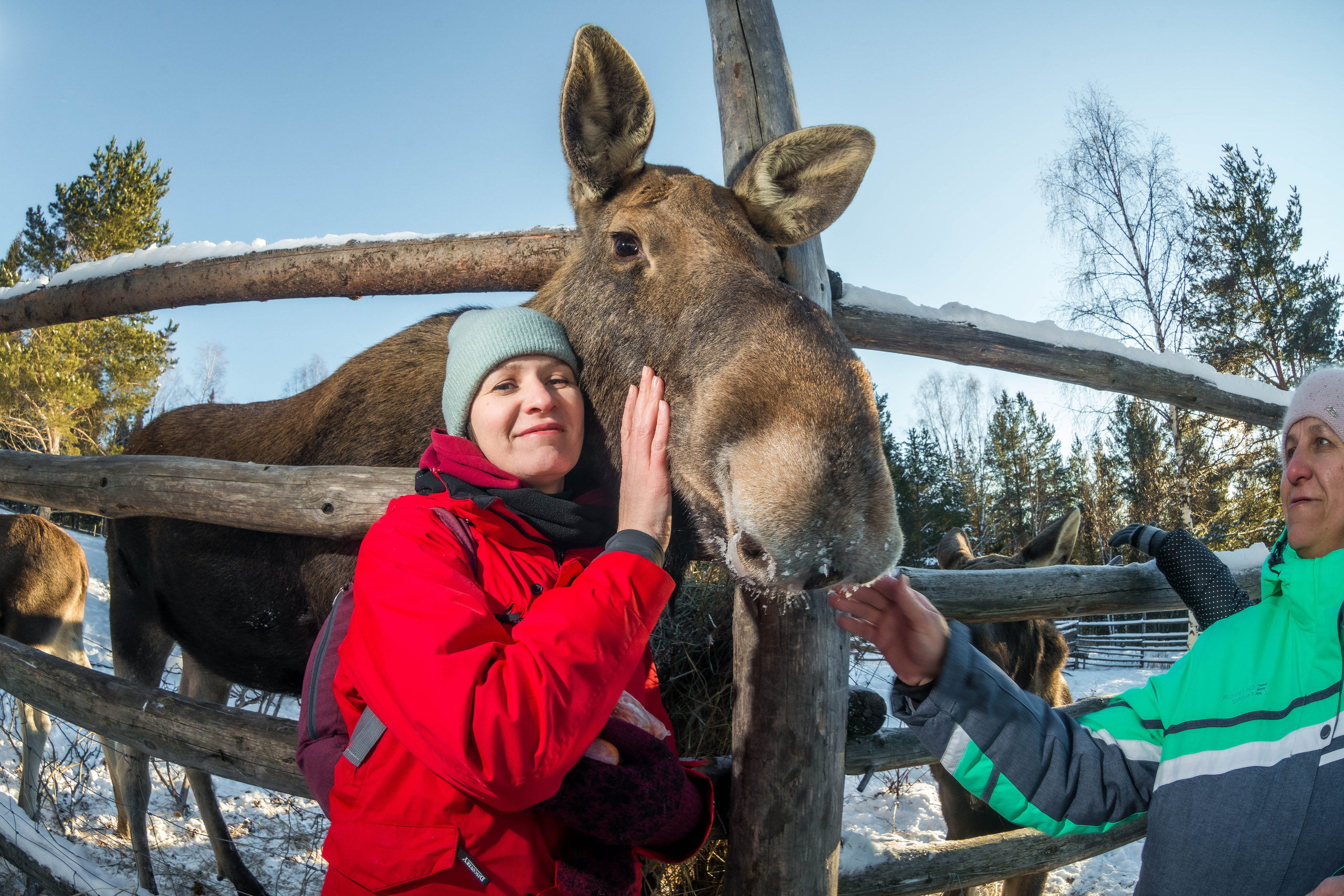 Парк Зюраткуль — Ледяной фонтан, Сохатка и хребет Москаль. Свадебный фотограф на Урале Виктор Соколов