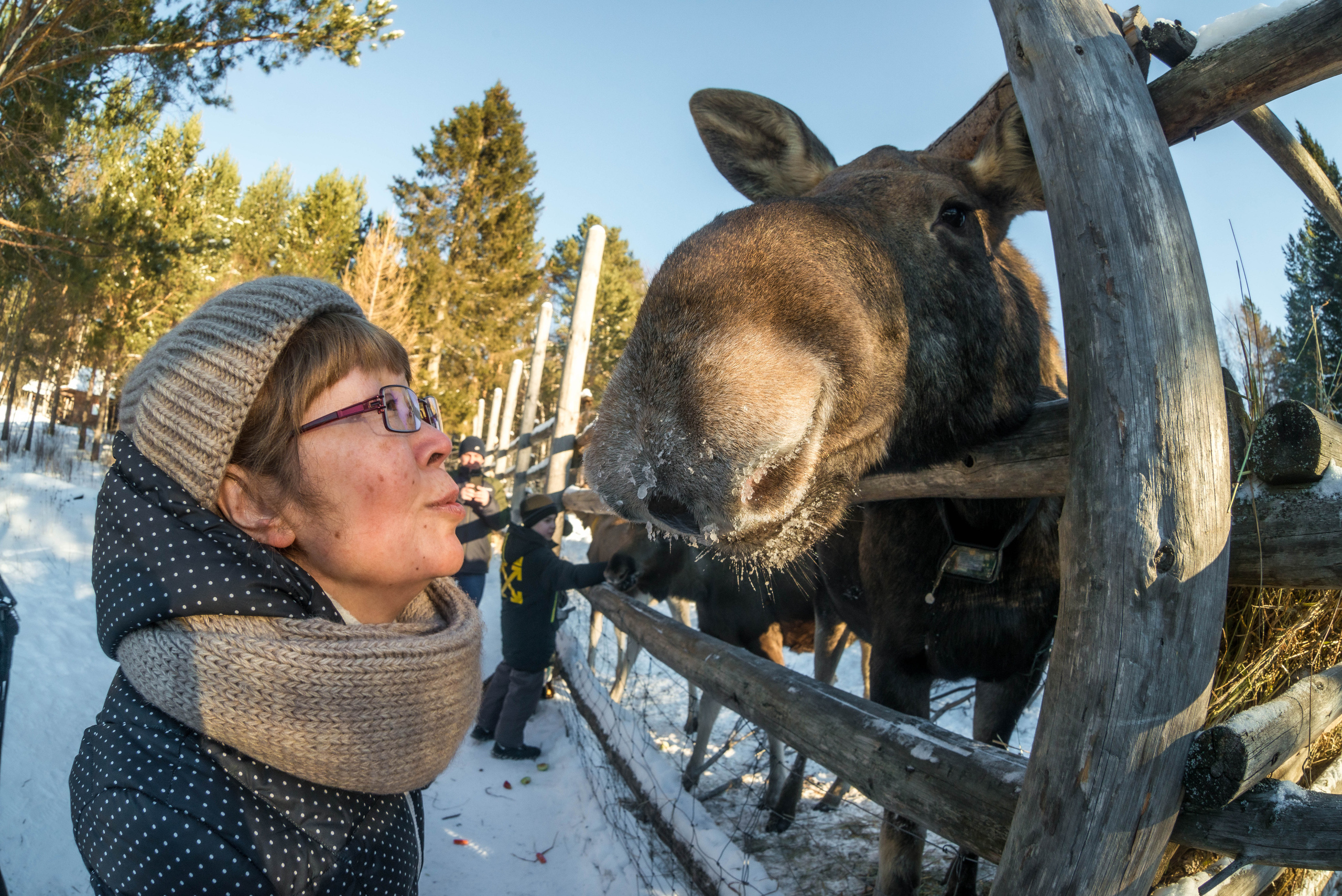 Парк Зюраткуль — Ледяной фонтан, Сохатка и хребет Москаль. Свадебный фотограф на Урале Виктор Соколов