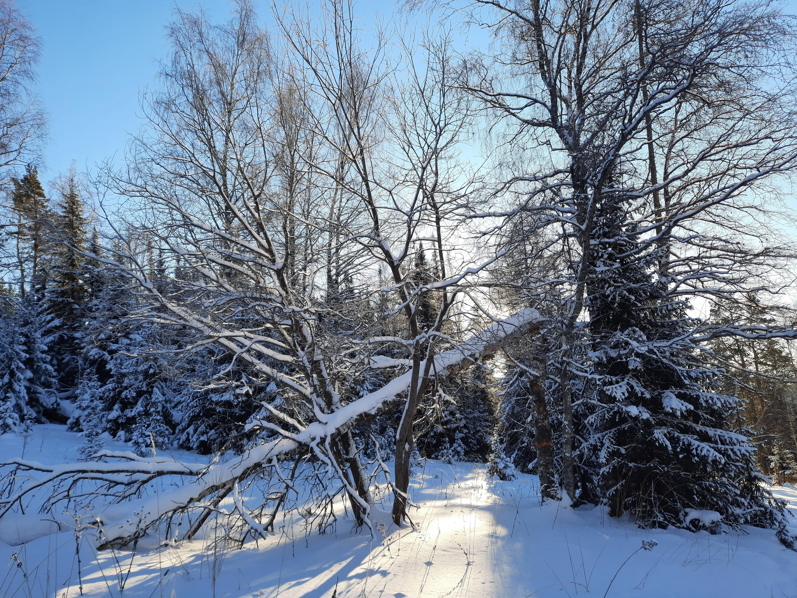 Парк Зюраткуль — Ледяной фонтан, Сохатка и хребет Москаль. Свадебный фотограф на Урале Виктор Соколов