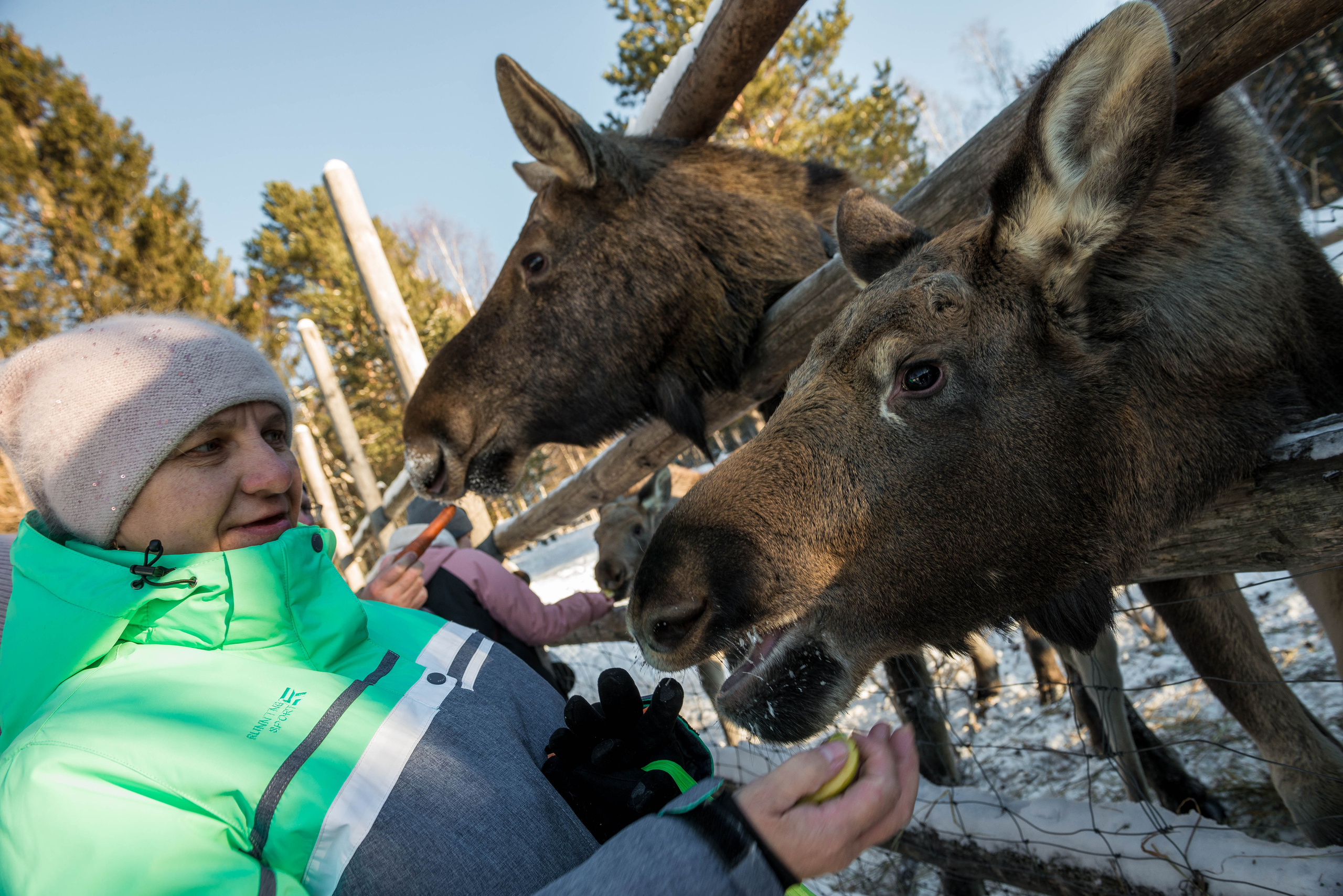 Парк Зюраткуль — Ледяной фонтан, Сохатка и хребет Москаль. Свадебный фотограф на Урале Виктор Соколов