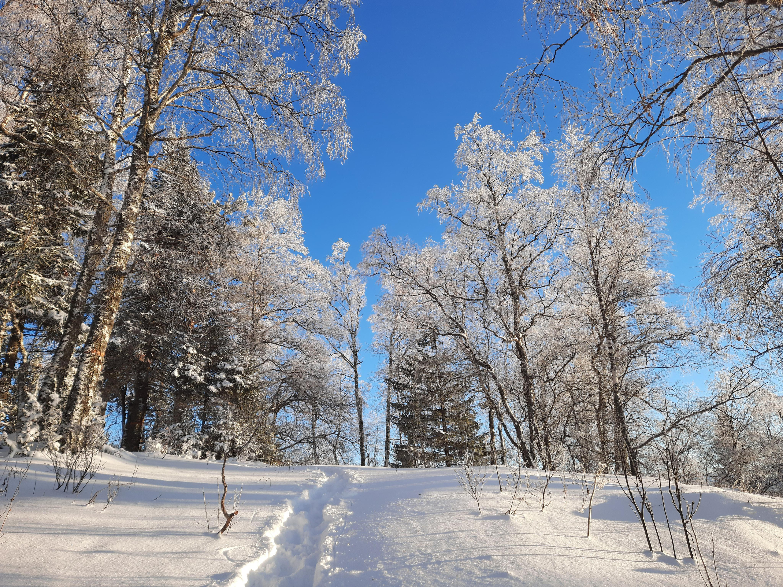 Парк Зюраткуль — Ледяной фонтан, Сохатка и хребет Москаль. Свадебный фотограф на Урале Виктор Соколов