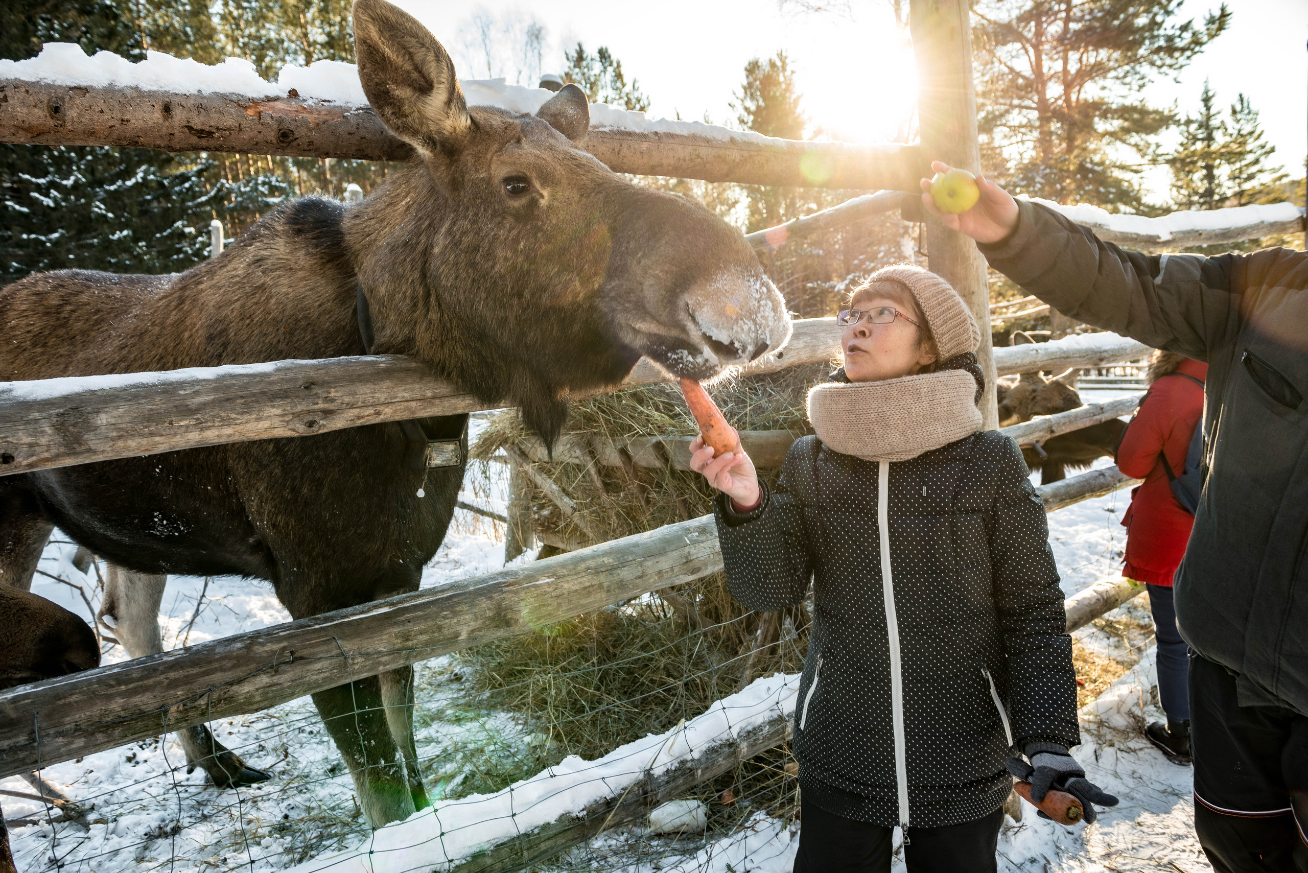 Парк Зюраткуль — Ледяной фонтан, Сохатка и хребет Москаль. Свадебный фотограф на Урале Виктор Соколов