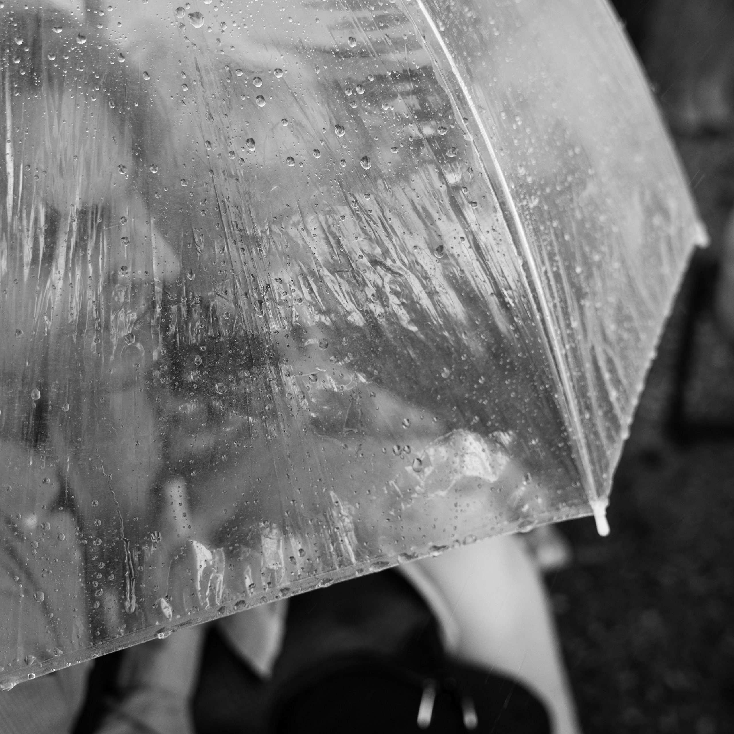 Витя и Аня. Фотограф Томск, Новосибирск Влад Свириденко