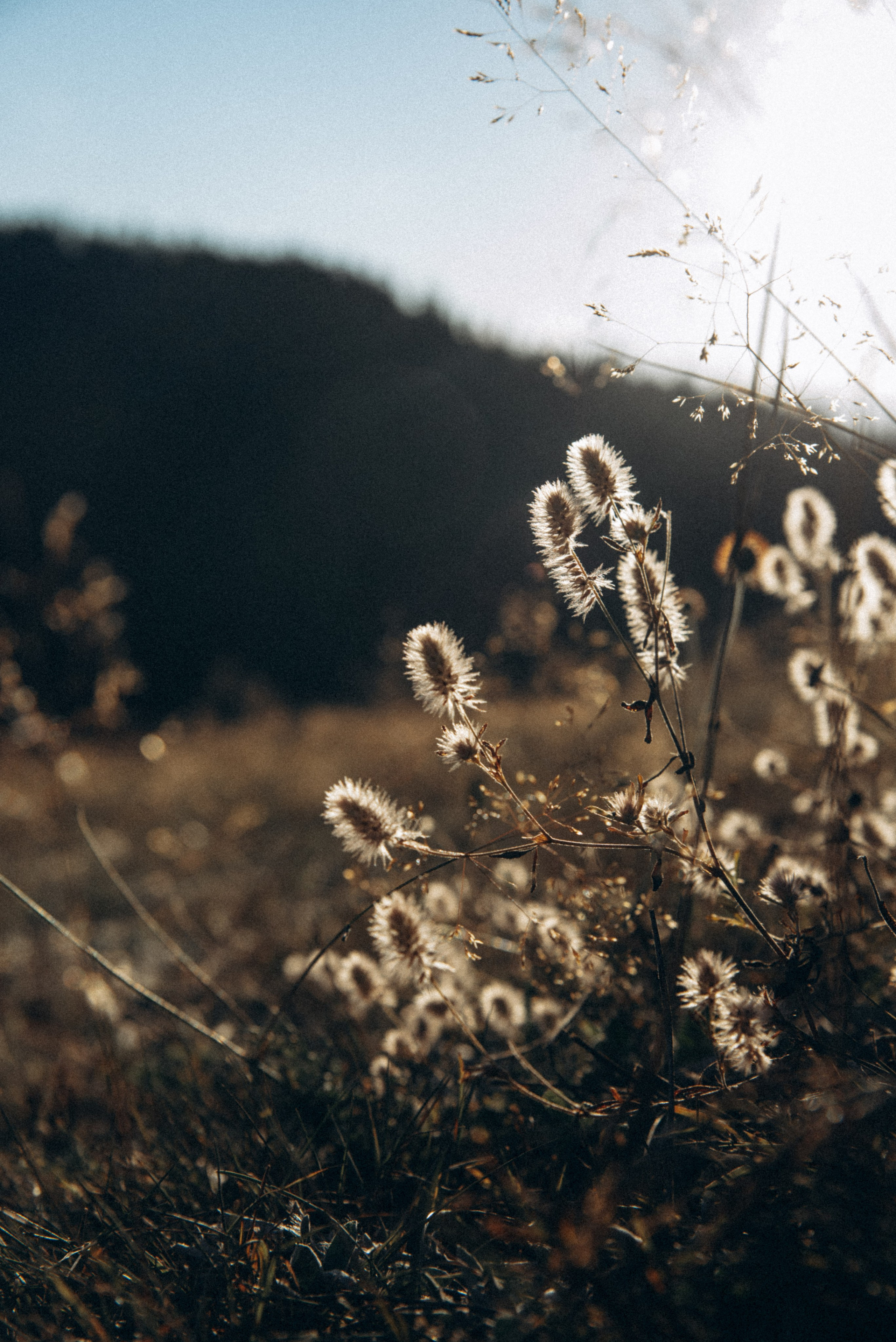 Сванетия, Грузия 🇬🇪. Anita_photo