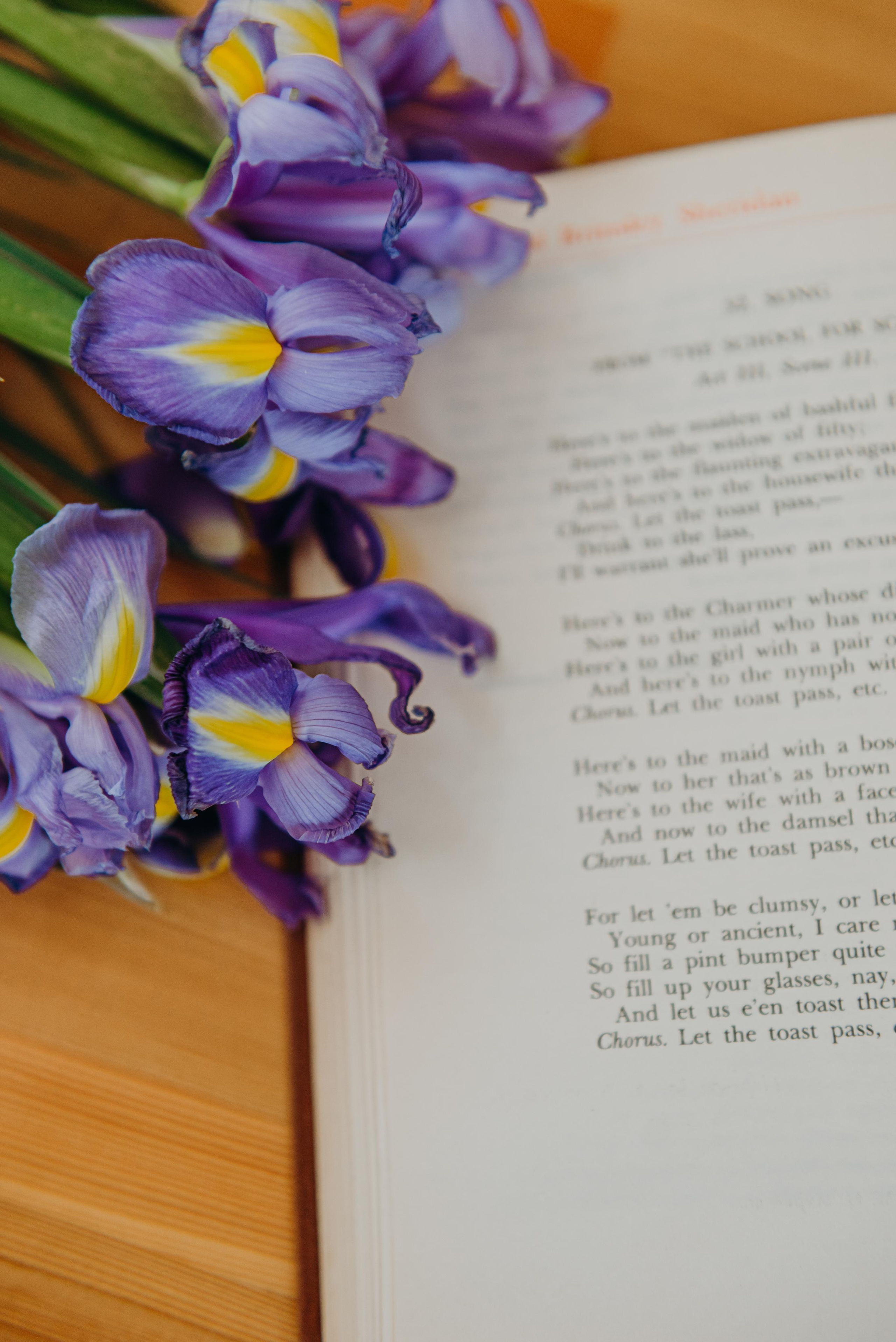 Запах — душа цветка. Фотограф Алена Нормальная в Санкт-Петербурге